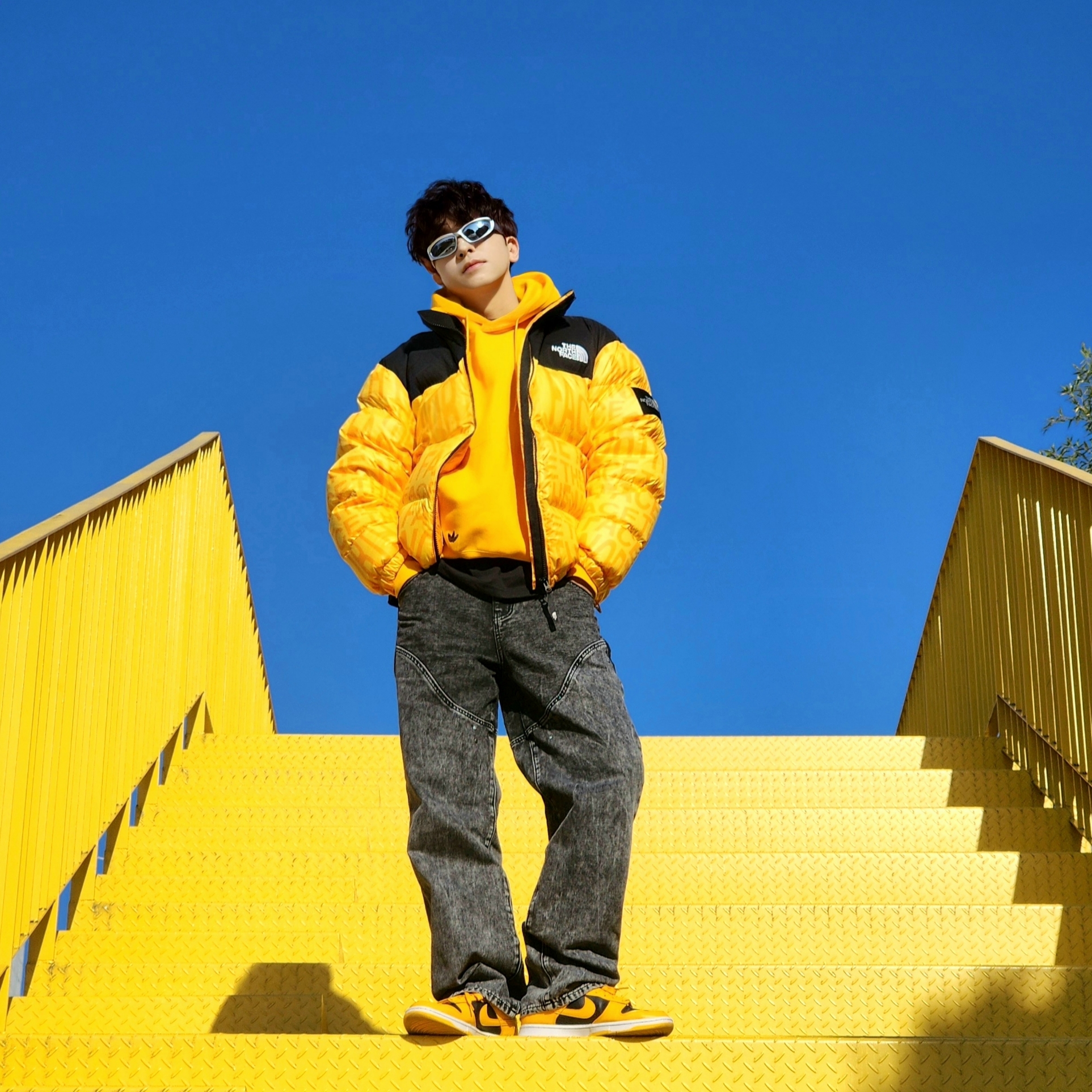 Nike Dunk Low Retro Championship Goldenrod, The North Face White Label Novelty Nuptse Down Jacket P Yellow 착용 스타일 - 2