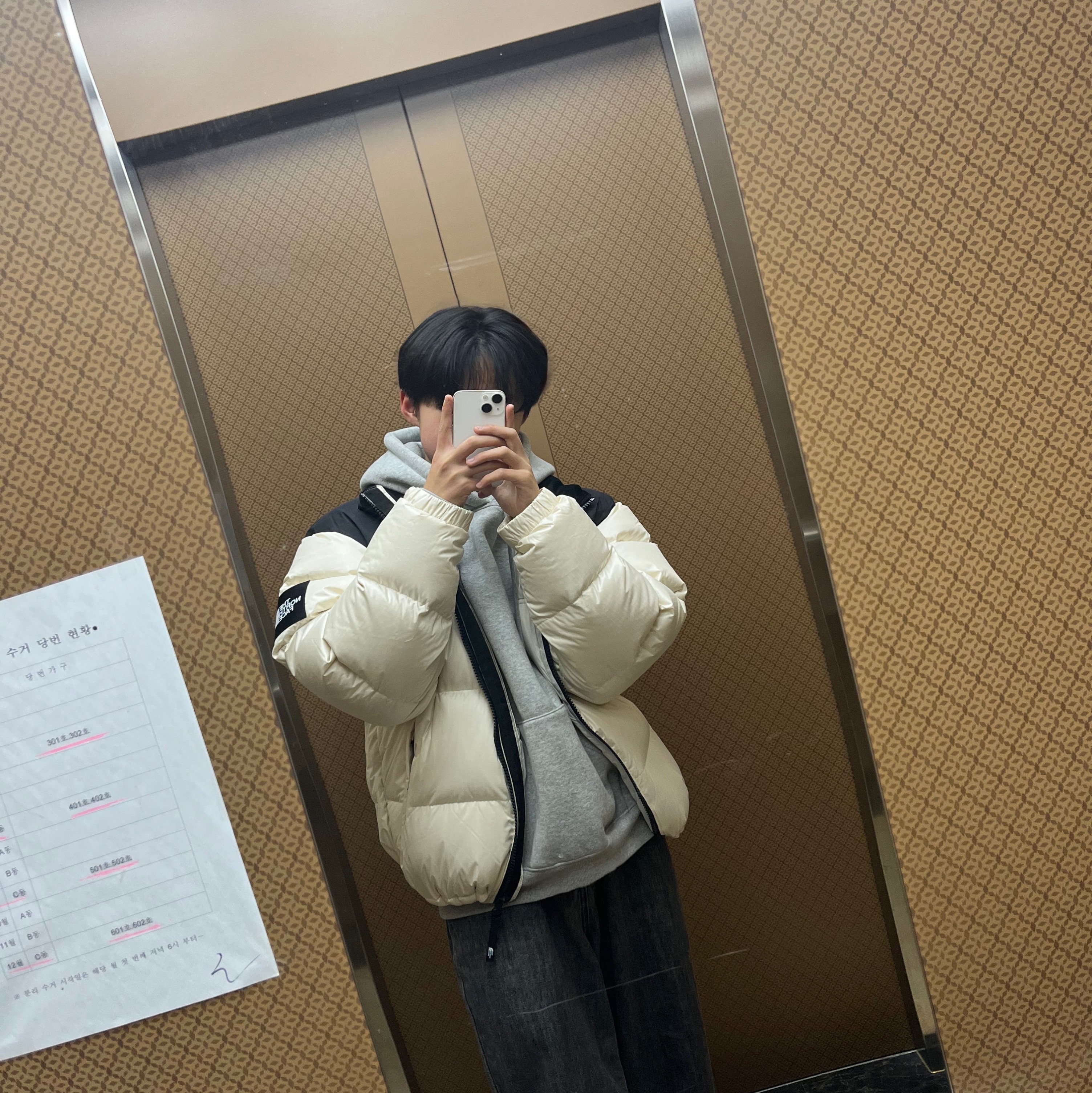The North Face White Label Novelty Nuptse Down Jacket Cream 착용 스타일