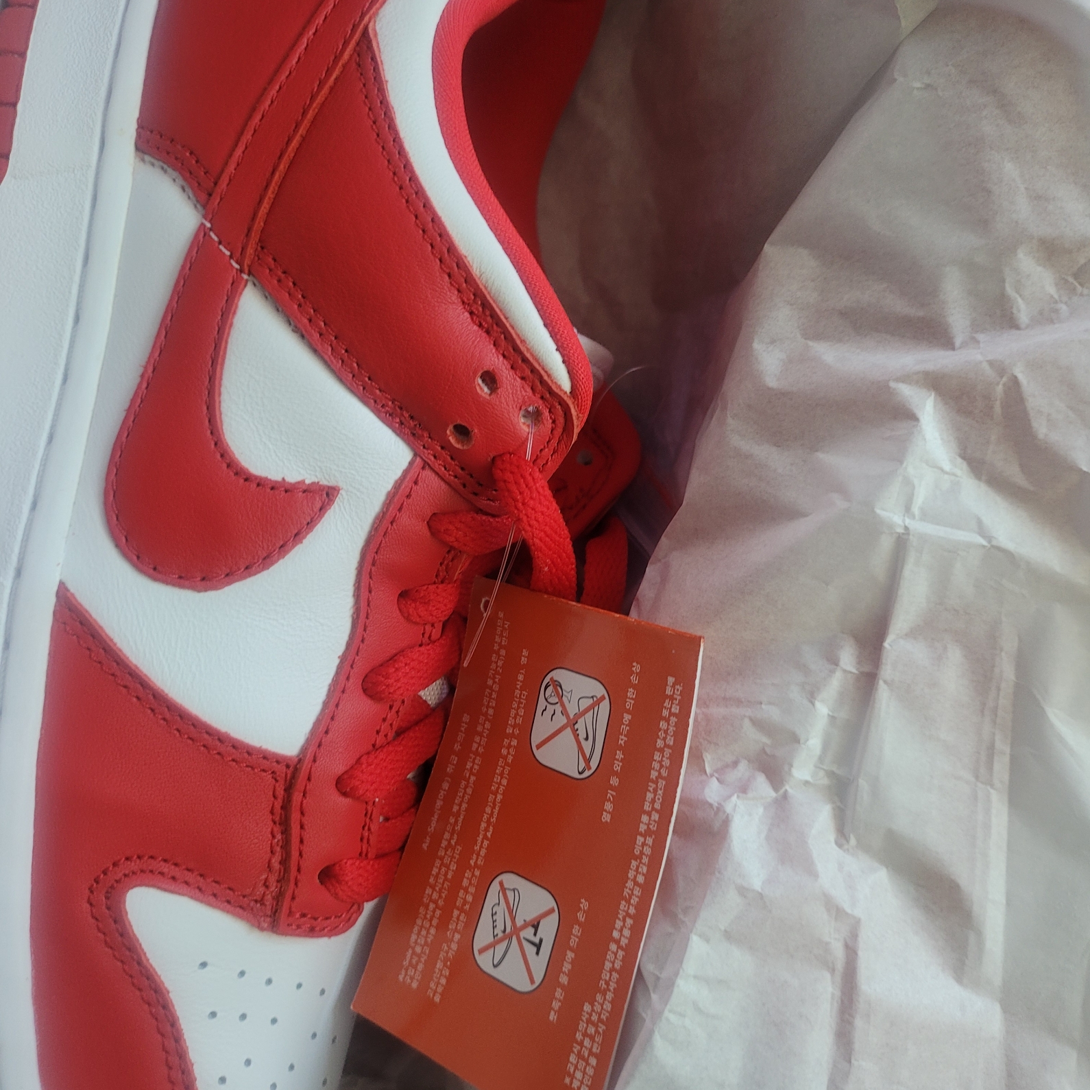 Nike Dunk Low SP White and University Red 2023 착용 스타일