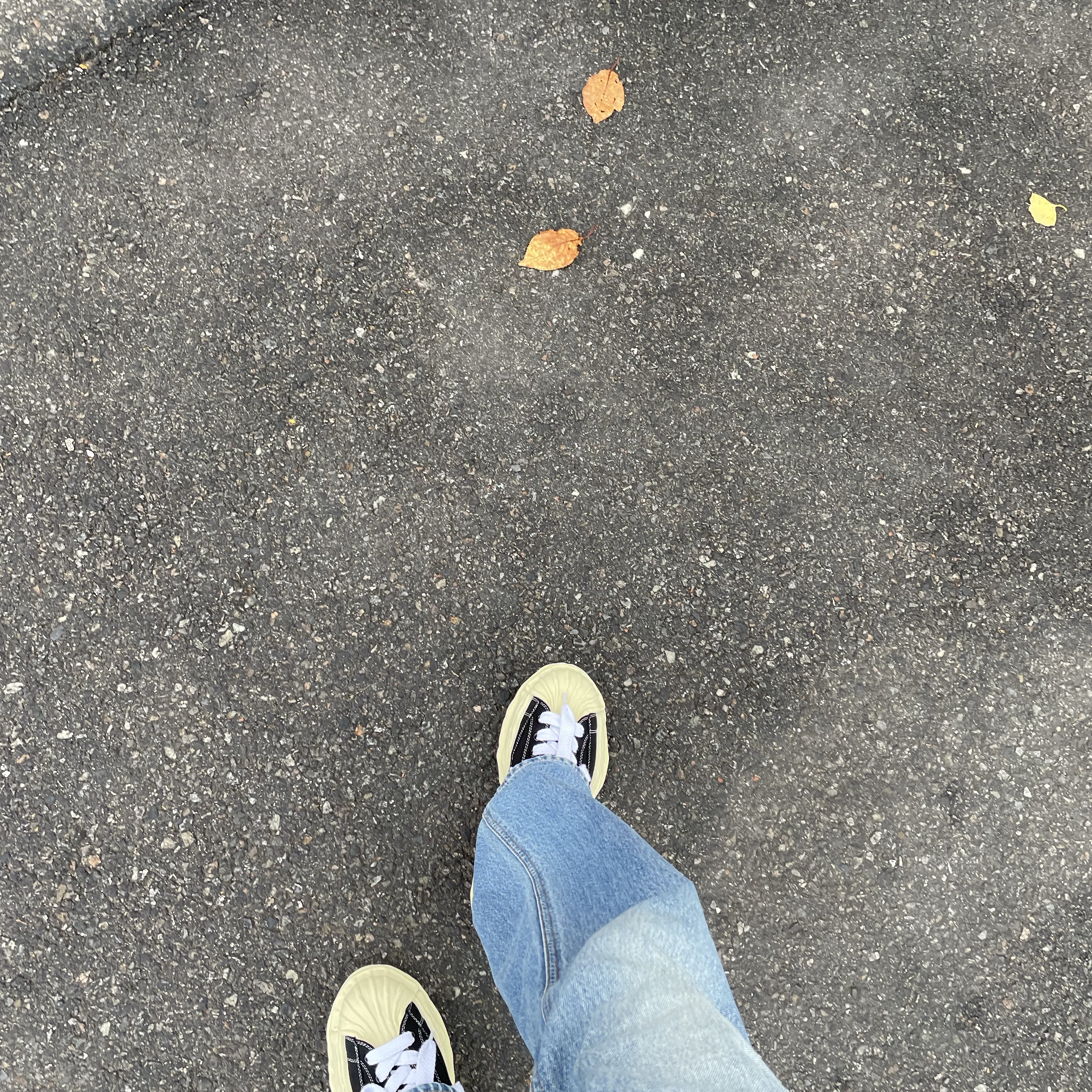 Maison Mihara Yasuhiro Blakey VL OG Sole Canvas Low-top Sneakers Black 착용 스타일 - 2