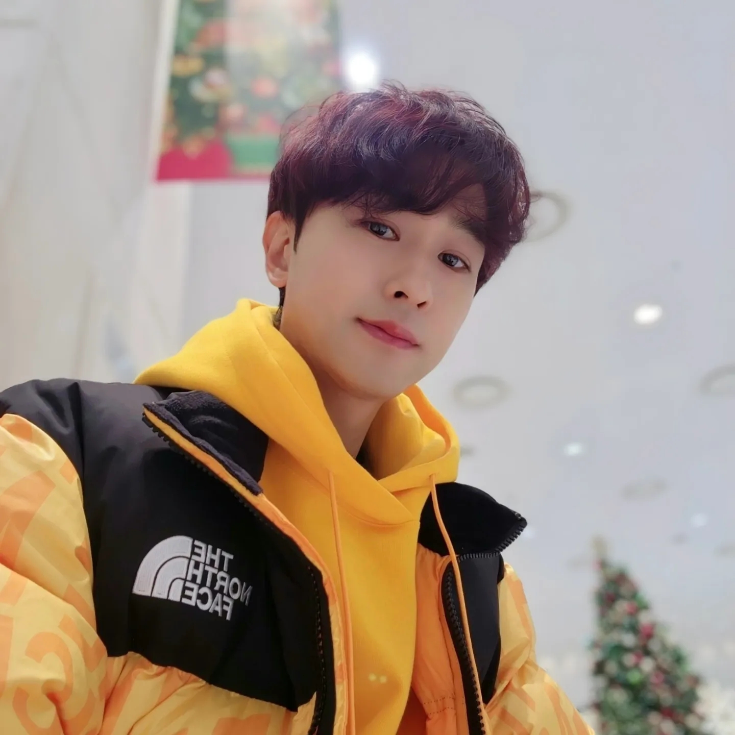 The North Face White Label Novelty Nuptse Down Jacket P Yellow 착용 스타일 - 3