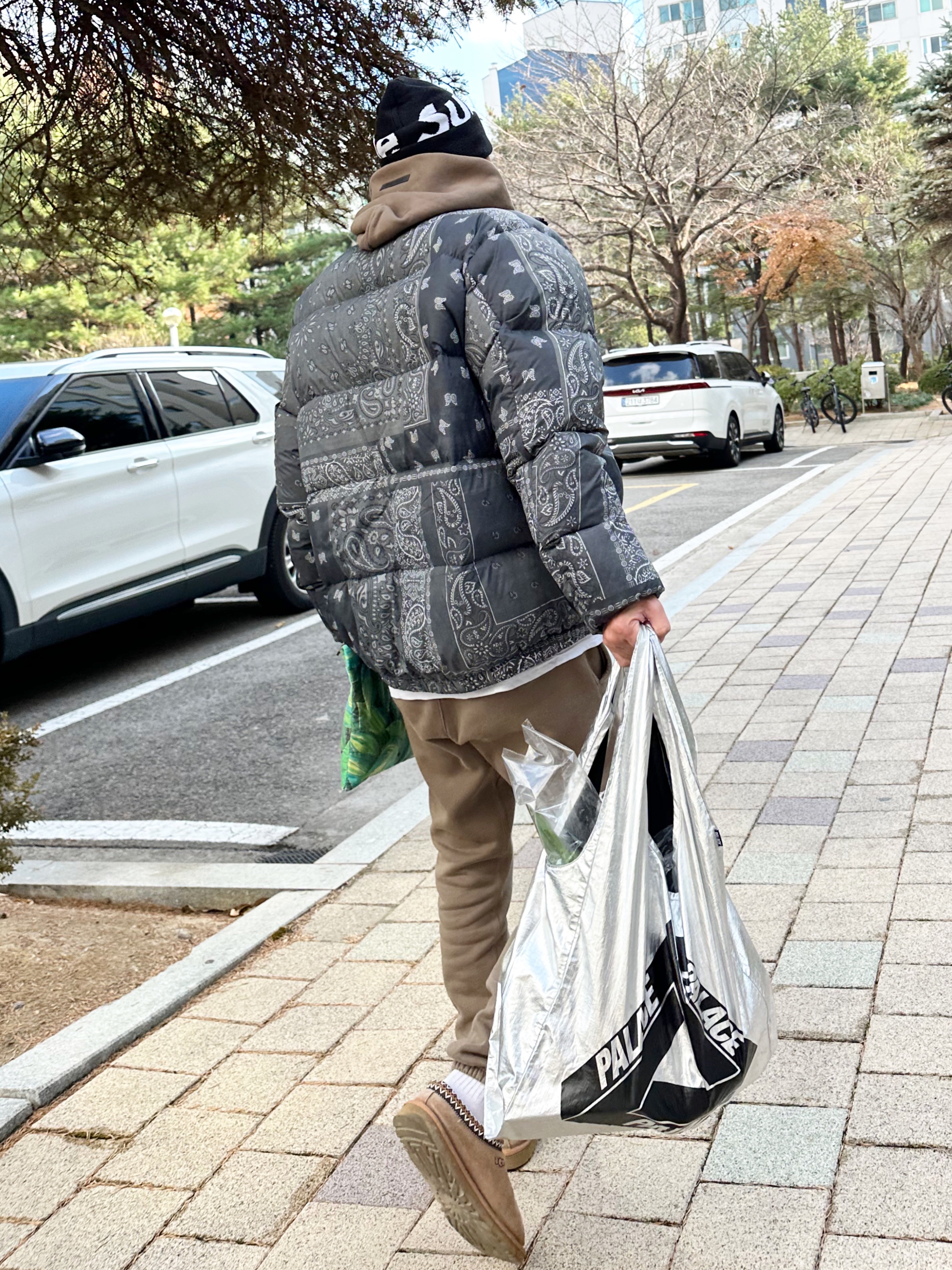 Supreme Big Logo Beanie Black, Essentials Pull-Over Hoodie Harvest - 21FW 착용 스타일