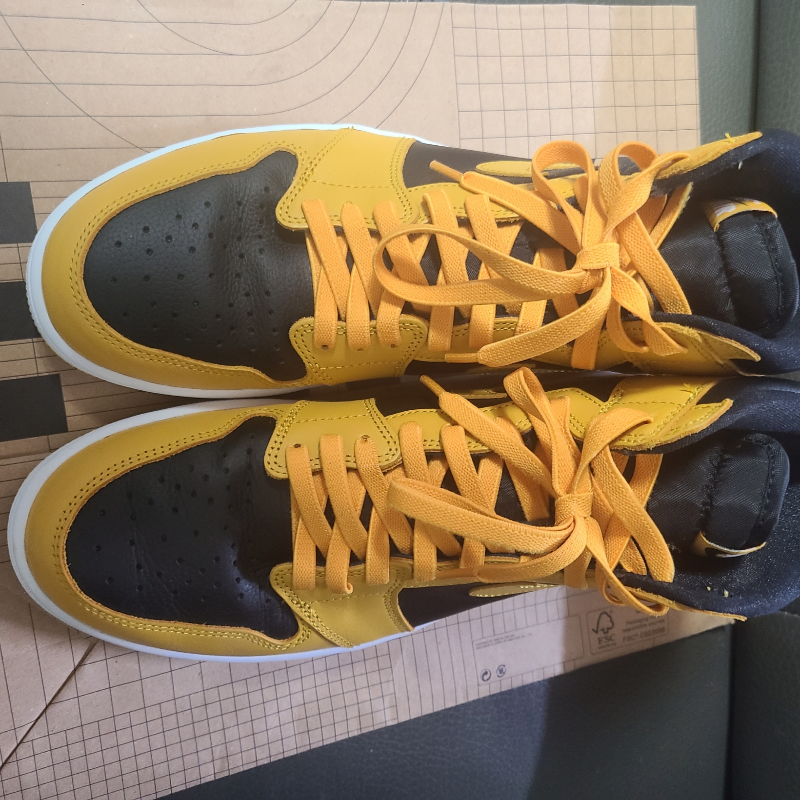 Jordan 1 Retro High OG Pollen 착용 스타일