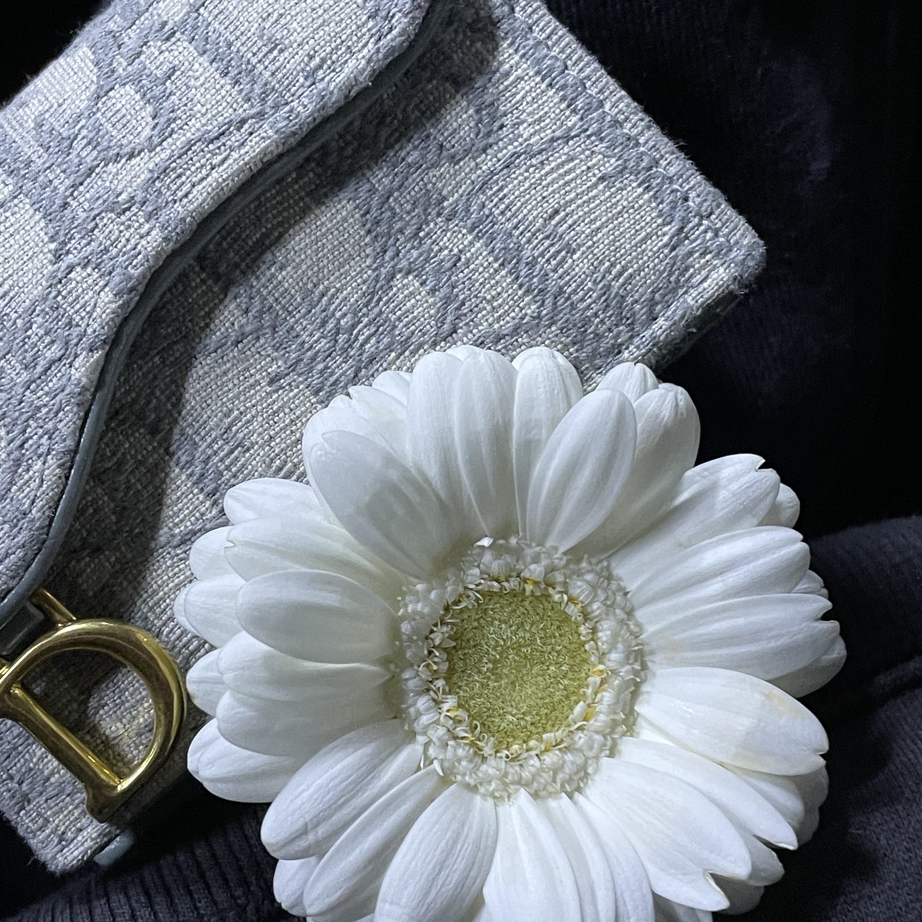 Dior Saddle Flap Card Holder Grey Dior Oblique Jacquard 착용 스타일