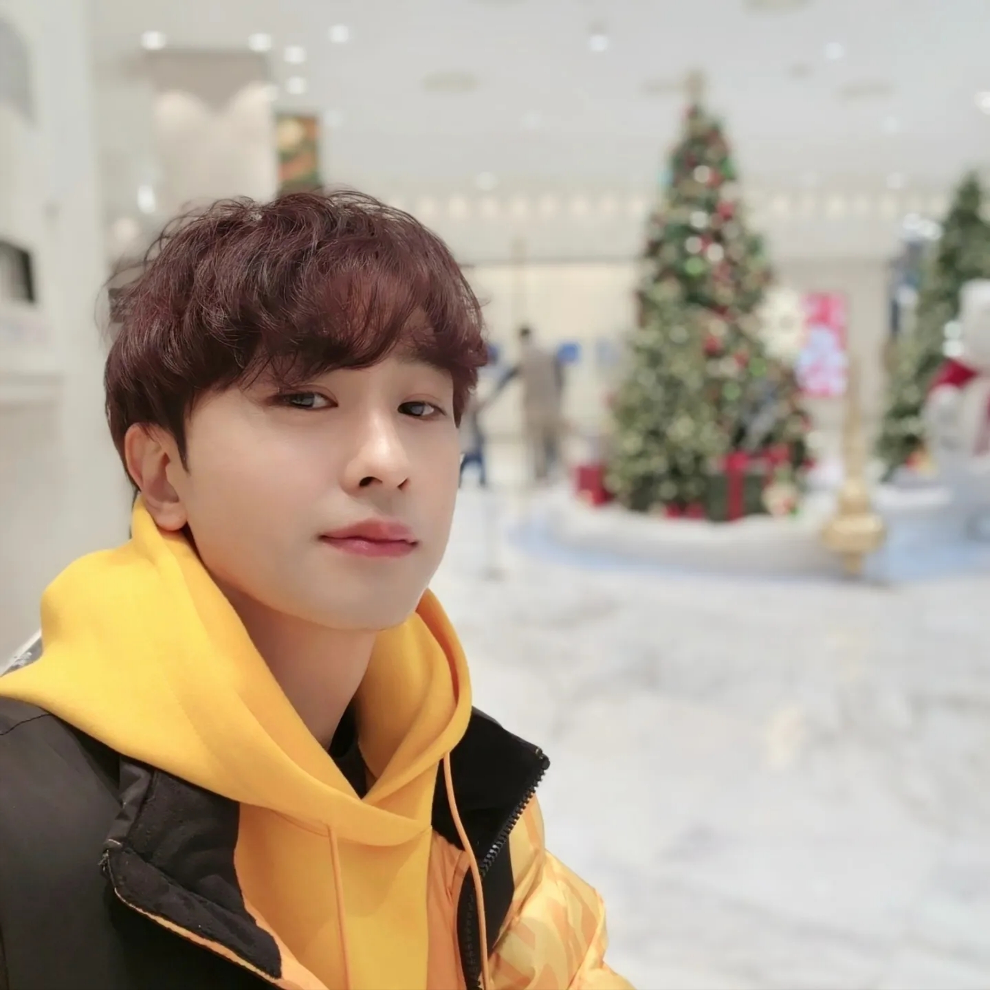 The North Face White Label Novelty Nuptse Down Jacket P Yellow 착용 스타일 - 2