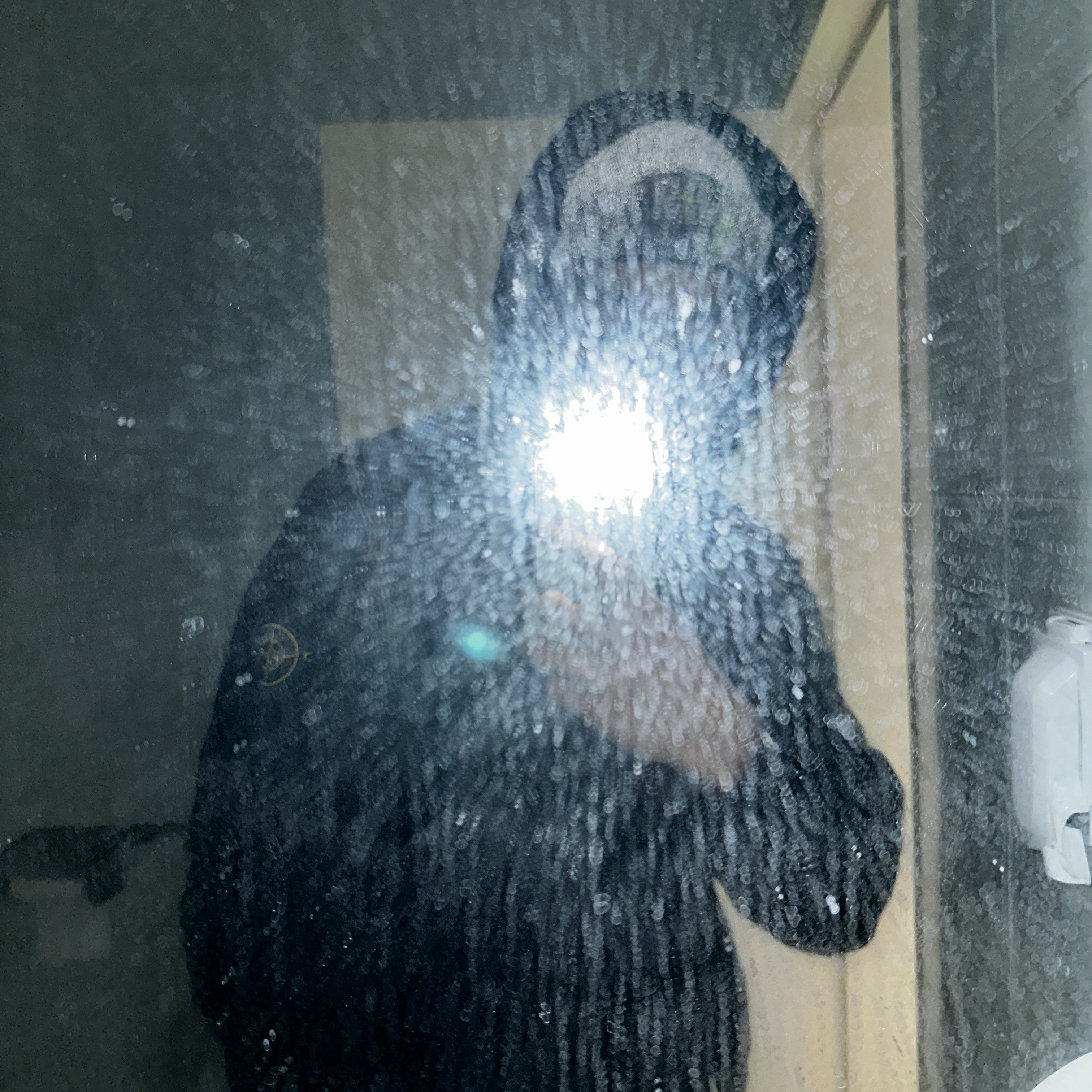 Supreme x Stone Island Reflective Beanie Black - 23FW 착용 스타일