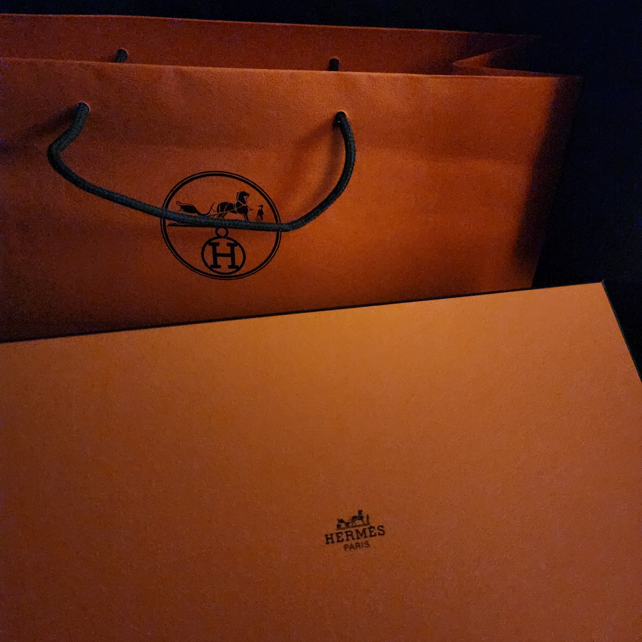 (W) Hermes Chypre Sandal Calfskin & Noir 착용 스타일