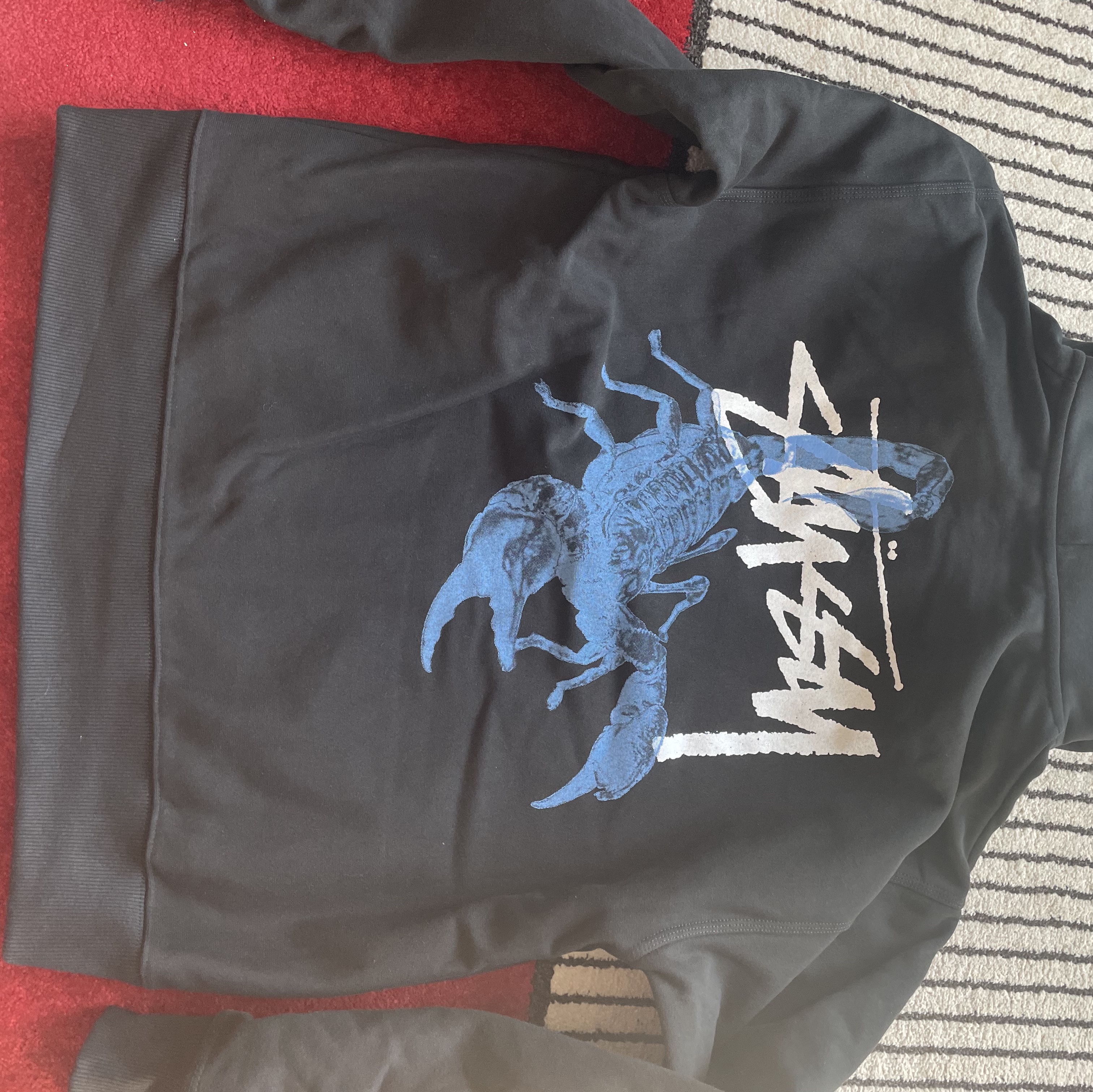 Stussy Scorpion Zip Hoodie Black 착용 스타일