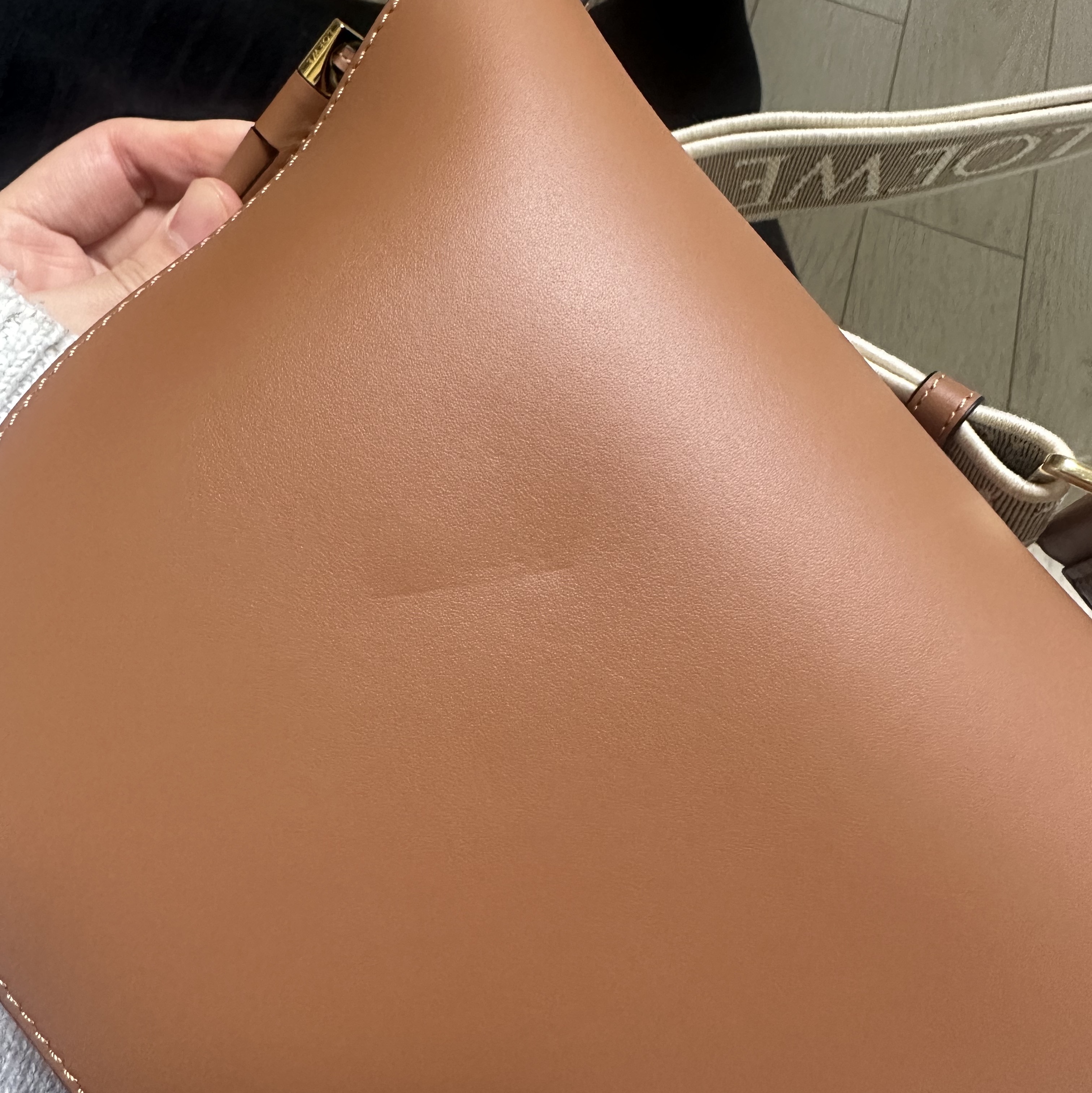 Loewe Small Gate Bag In Soft Calfskin and Jacquard Tan 착용 스타일 - 1