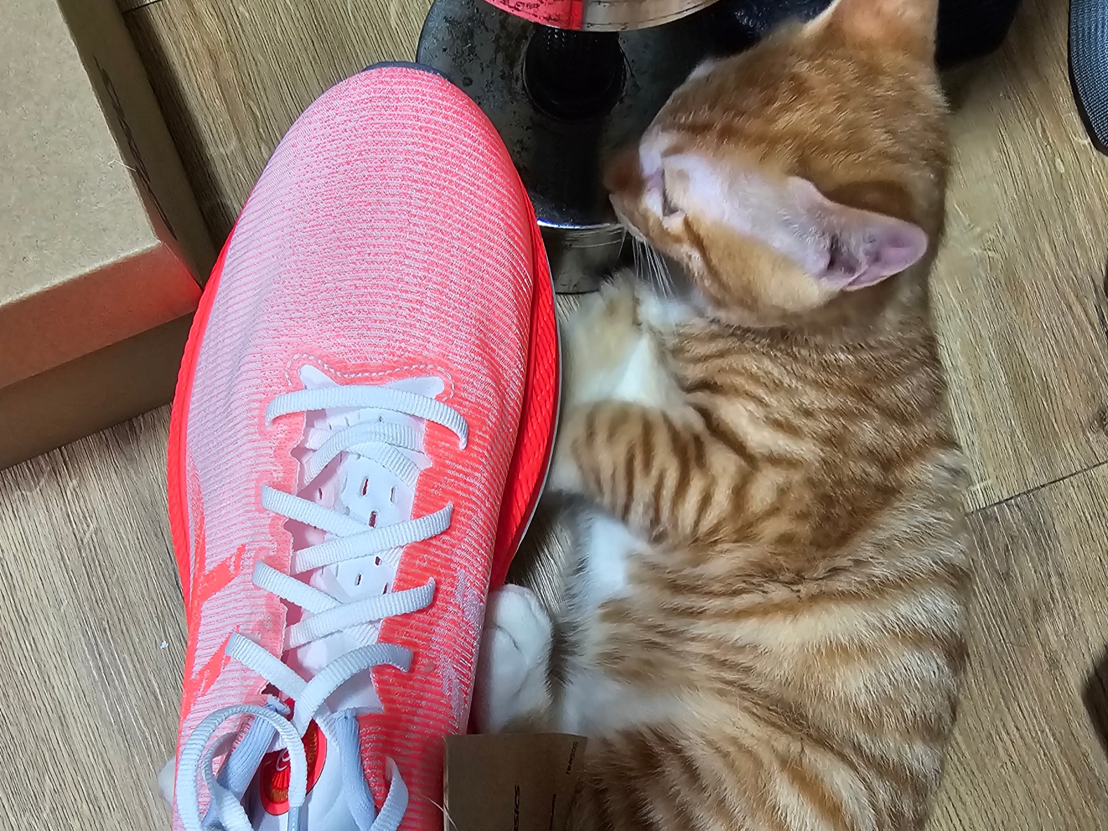 Asics Superblast White Lilac Hint 착용 스타일 - 2