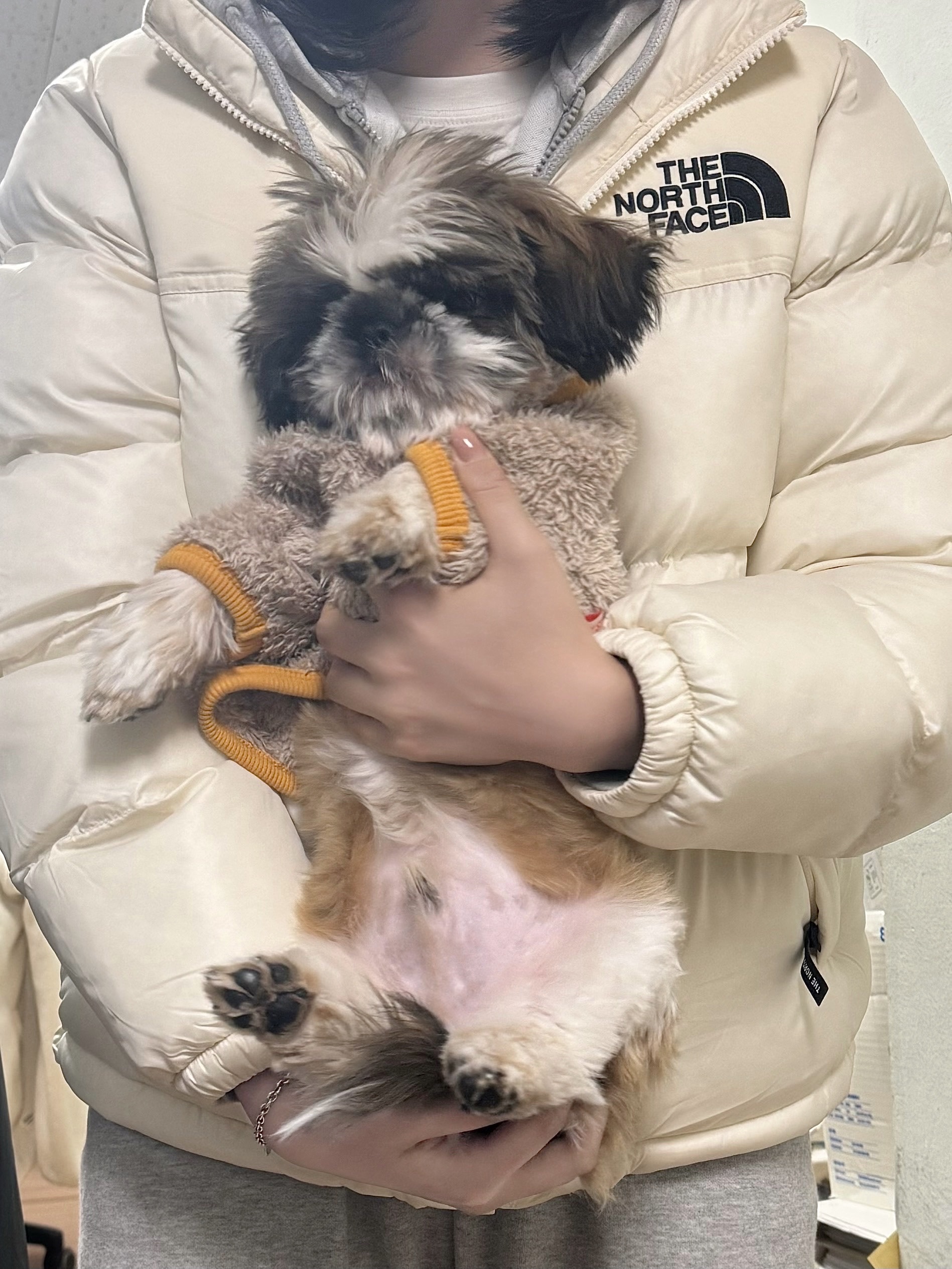 (W) The North Face Nuptse On Ball Jacket Ivory 착용 스타일