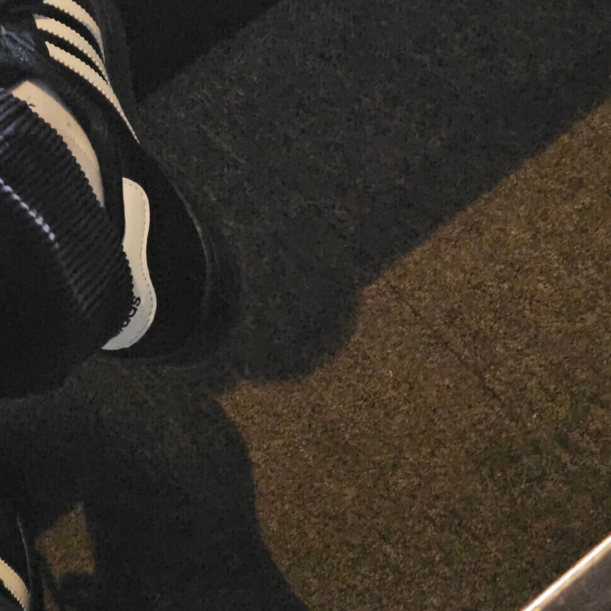 (J) Adidas Superstar Black White 착용 스타일