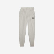 Nike x Stussy Fleece Pants Grey Heather (FN5231-050)