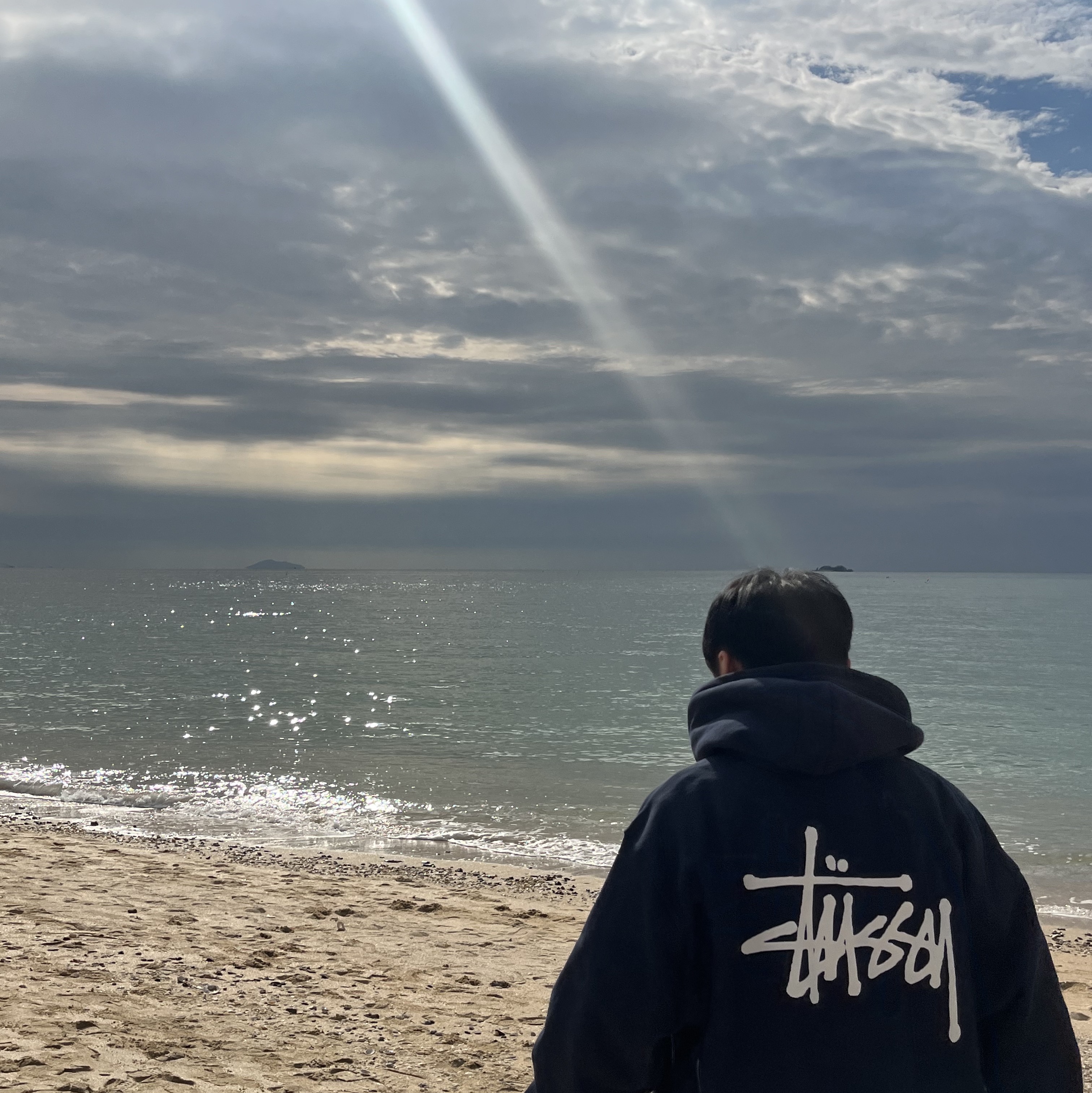 Stussy Basic Stussy Hoodie Navy 2023 착용 스타일