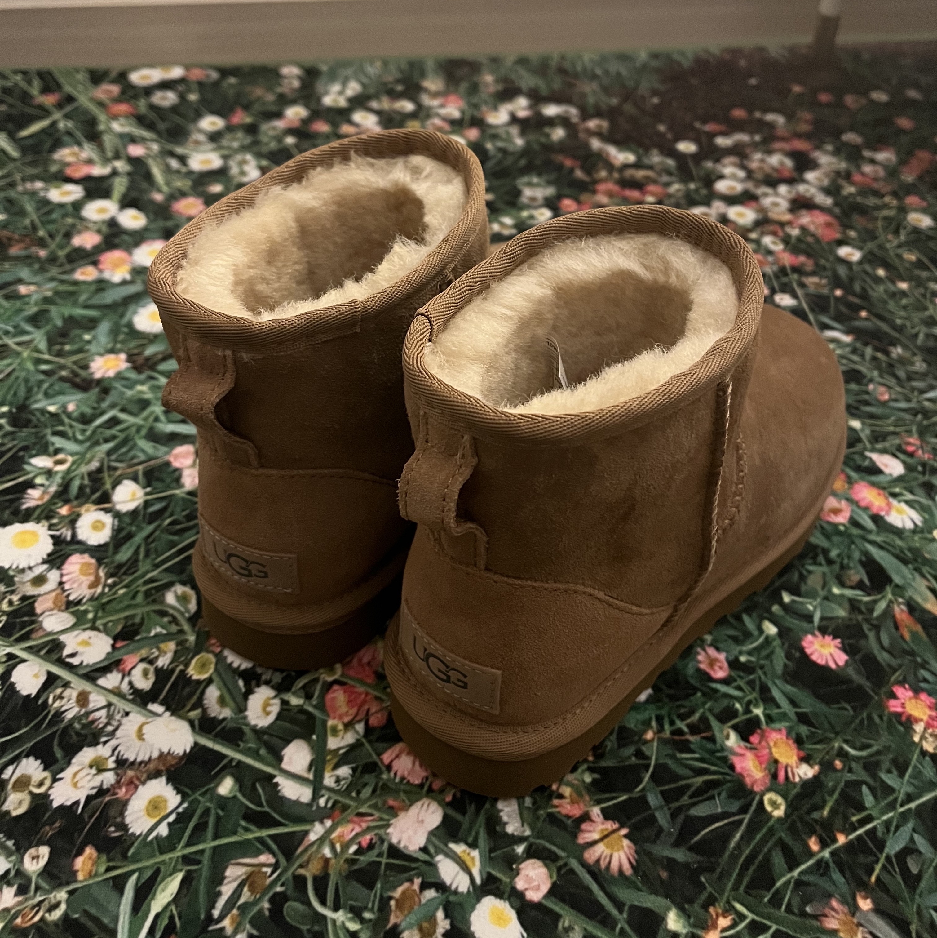 (W) UGG Classic Mini II Boots Chestnut 착용 스타일