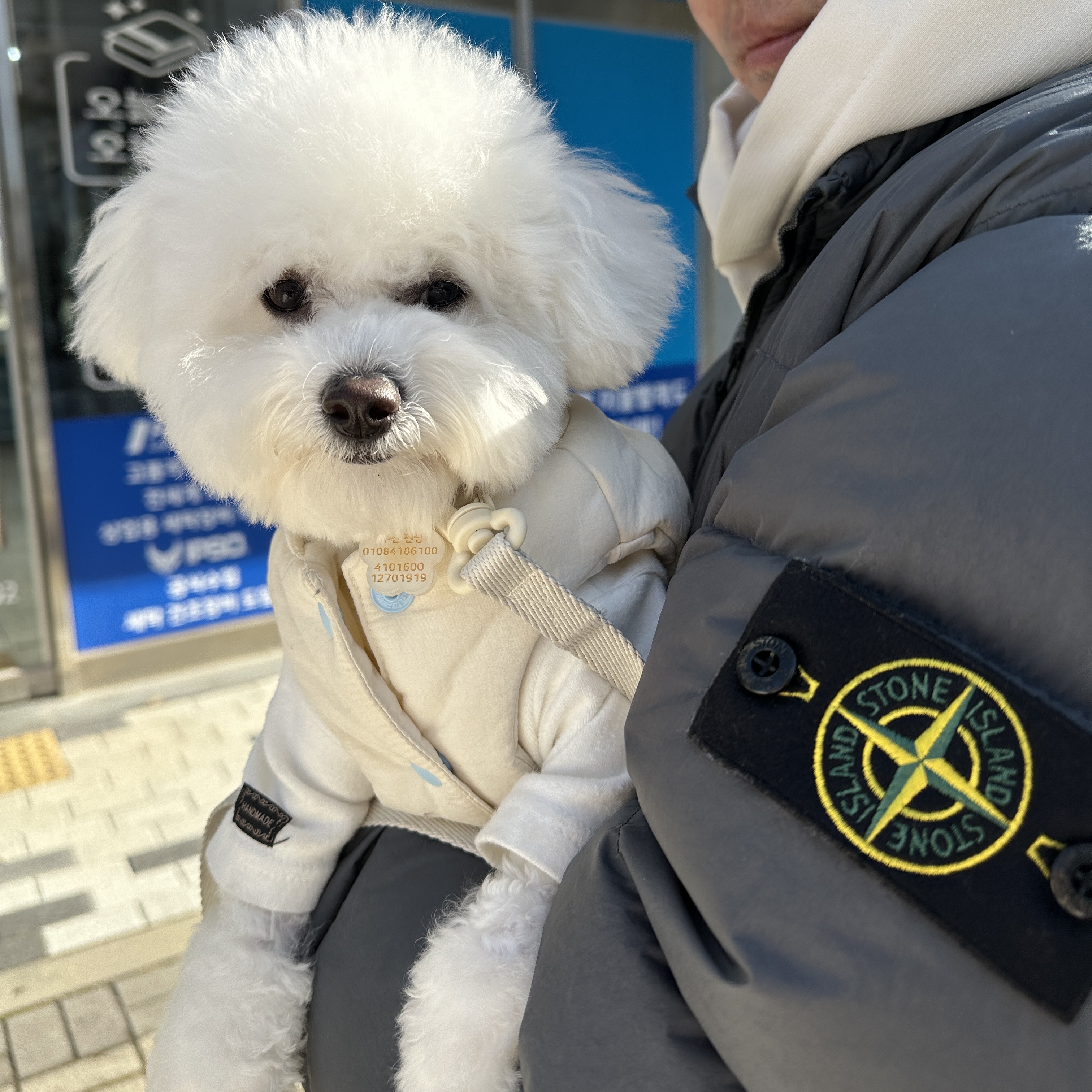 Stone Island 40623 Garment Dyed Crinkle Reps Recycled Nylon Down Jacket Lead - 23FW 착용 스타일