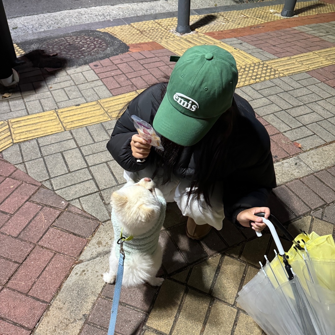 Emis New Logo Emis Cap Green 착용 스타일