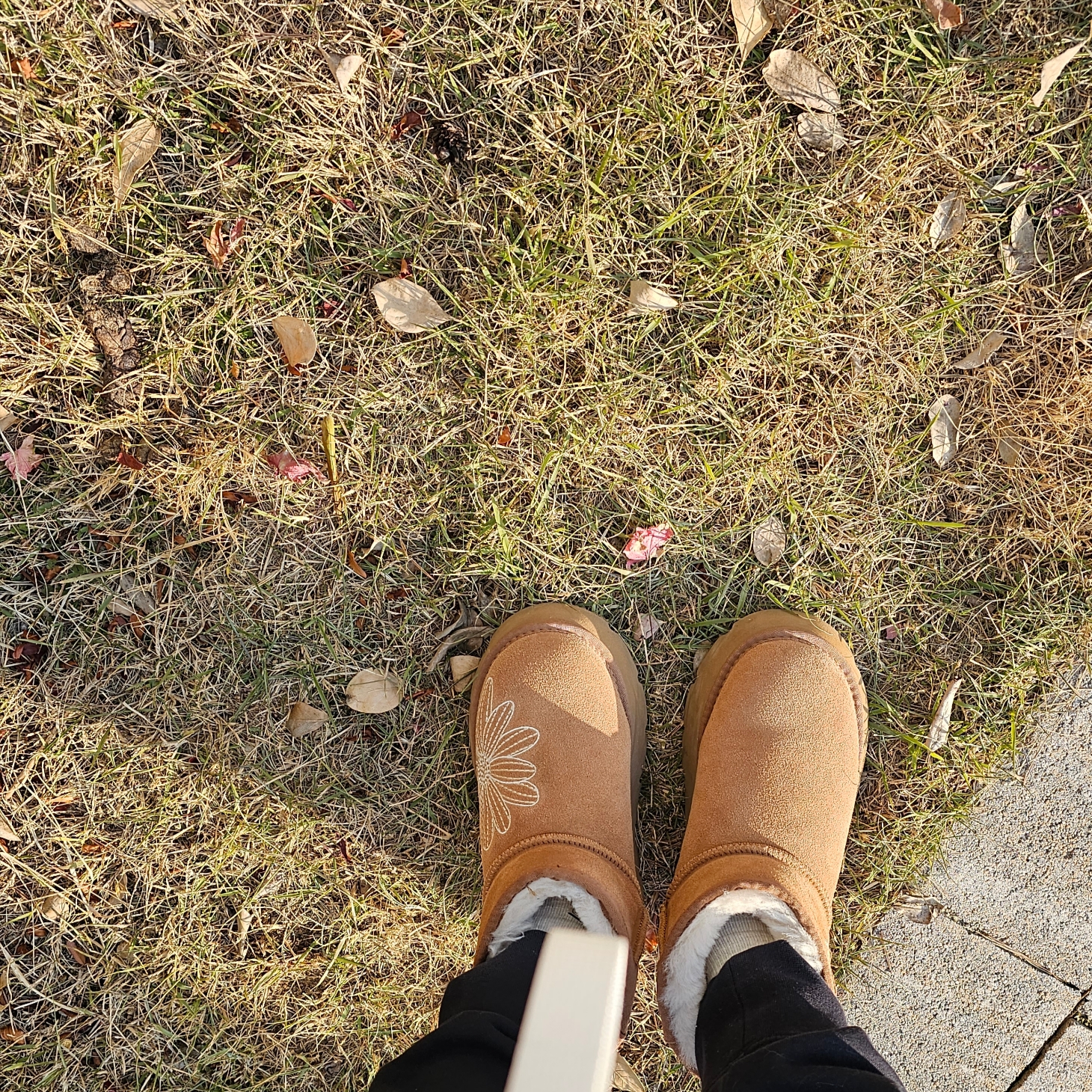 Mardi Mercredi Les Pompes Women Classique Ugg Boots Chestnut 착용 스타일