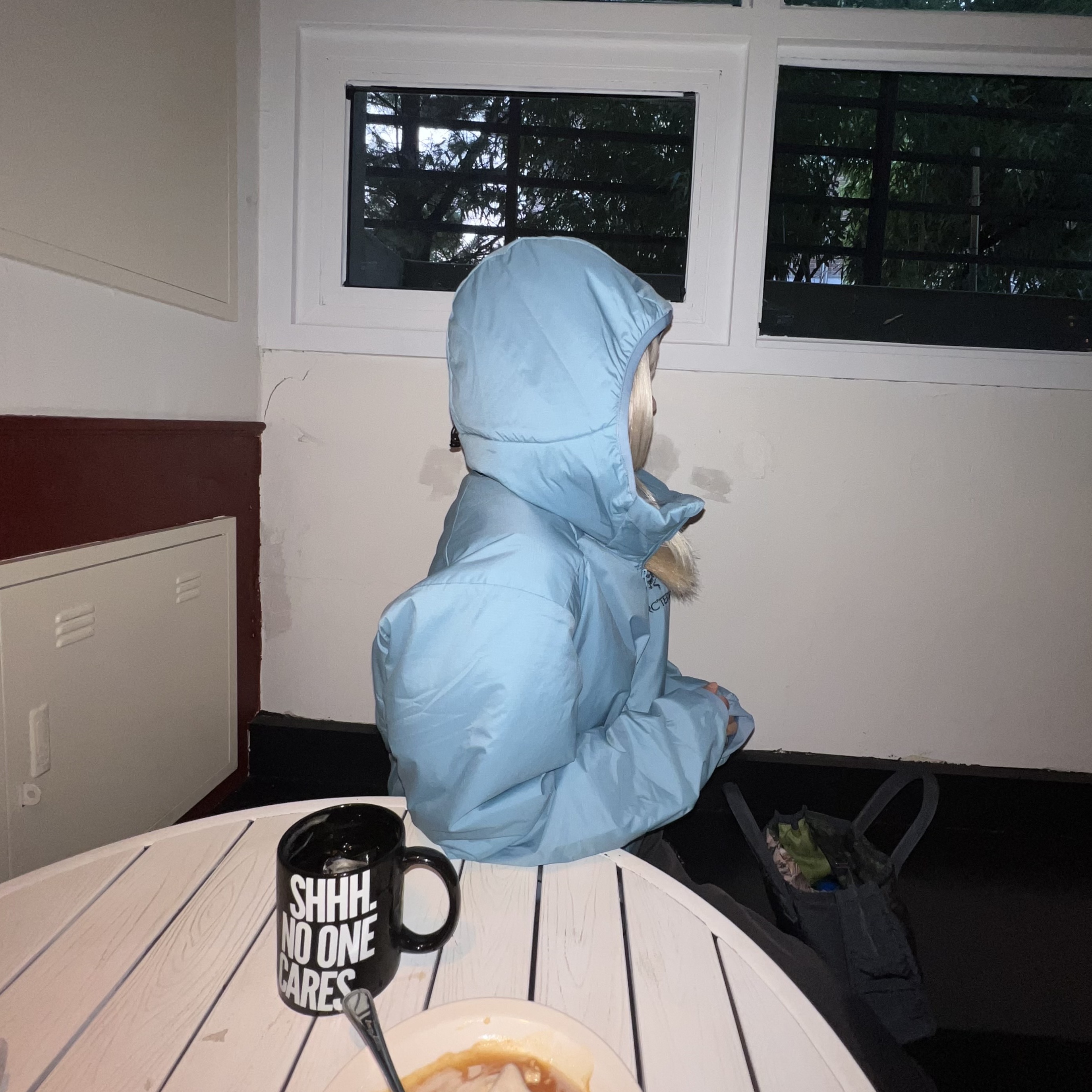 Arc'teryx Atom LT Hoody Solace 착용 스타일