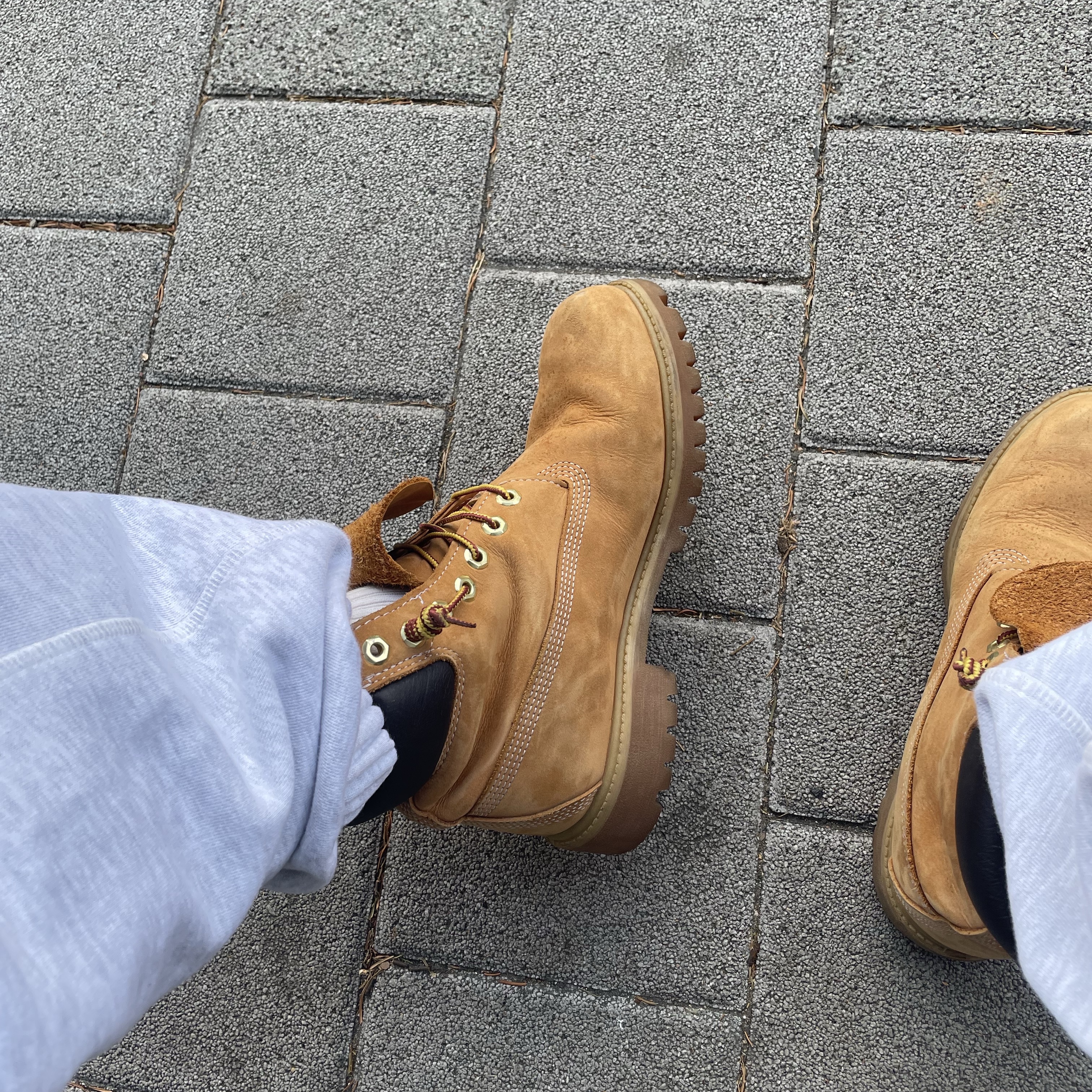 Timberland Premium 6 inch Waterproof Boot Wheat Nubuck - Wide 착용 스타일