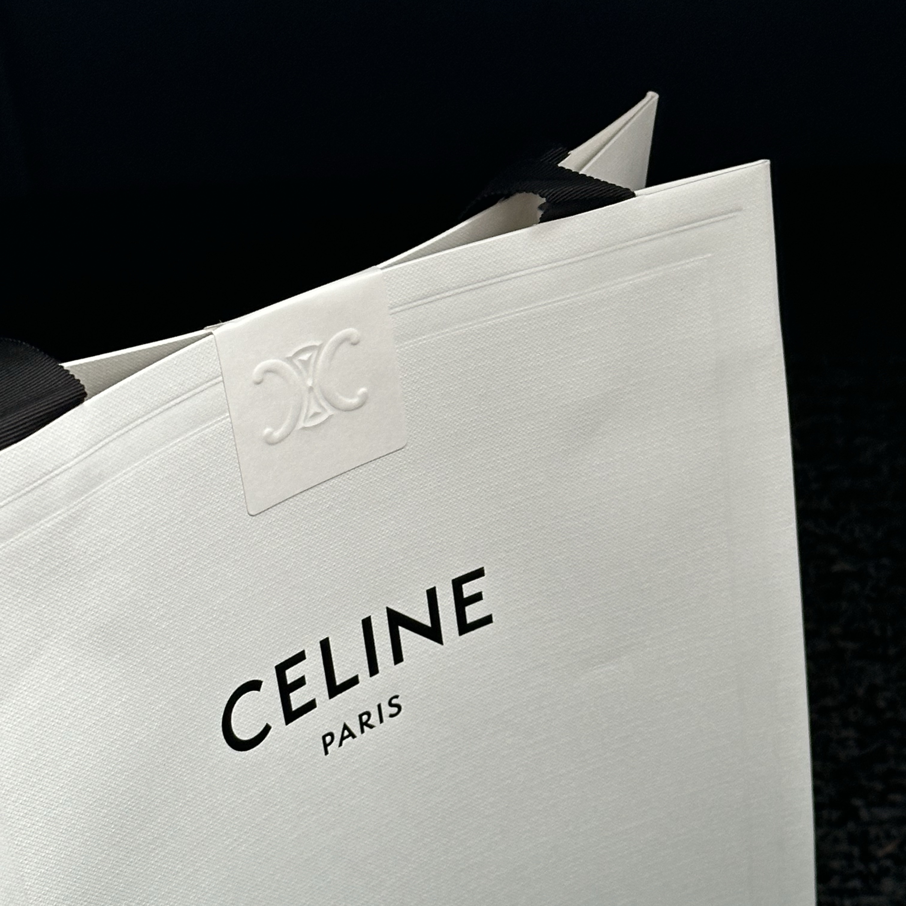 Celine Mini Claude in Shiny Calfskin Black 착용 스타일 - 2