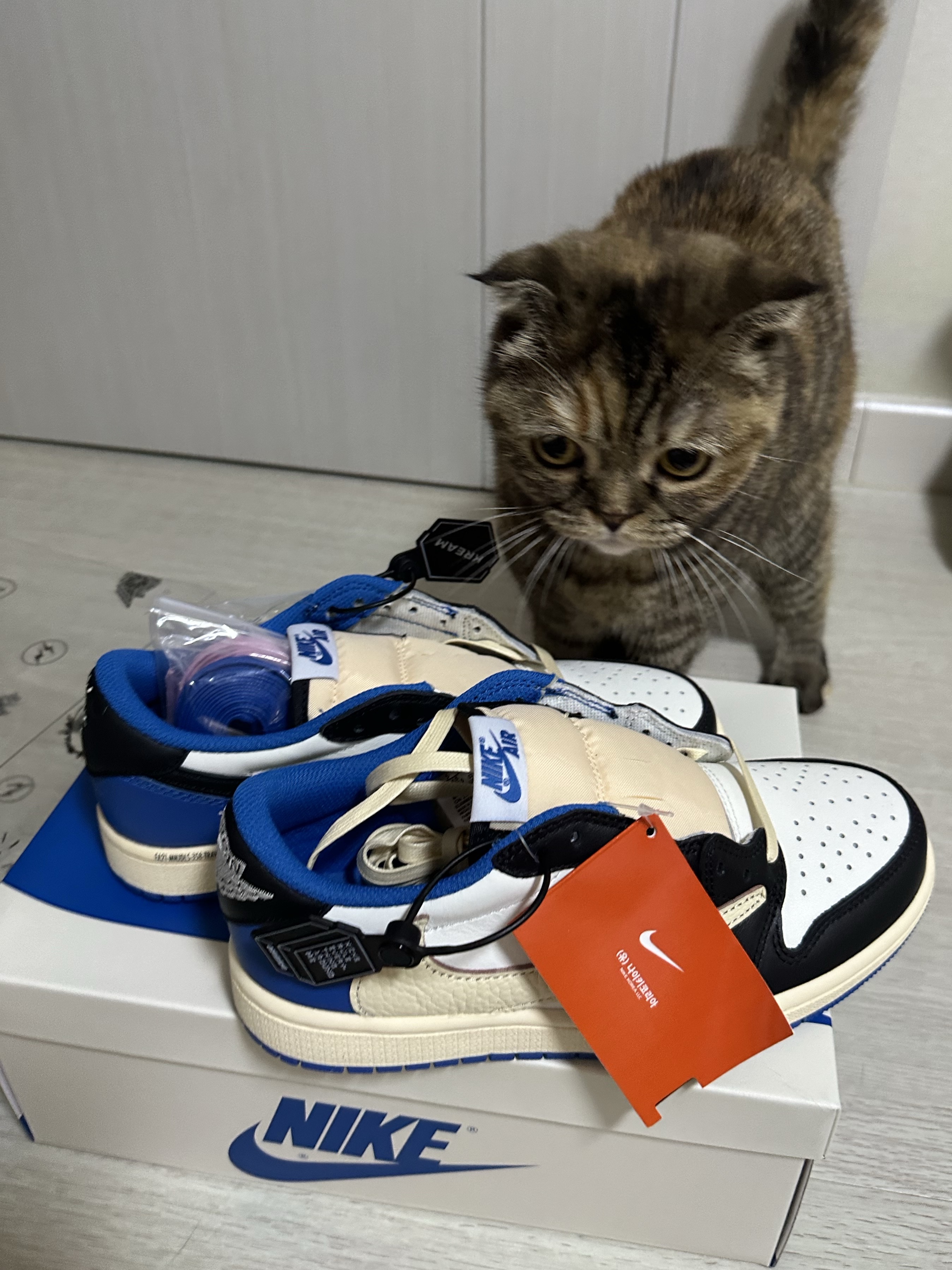 Jordan 1 x Travis Scott x Fragment Retro Low OG SP Military Blue 착용 스타일 - 2