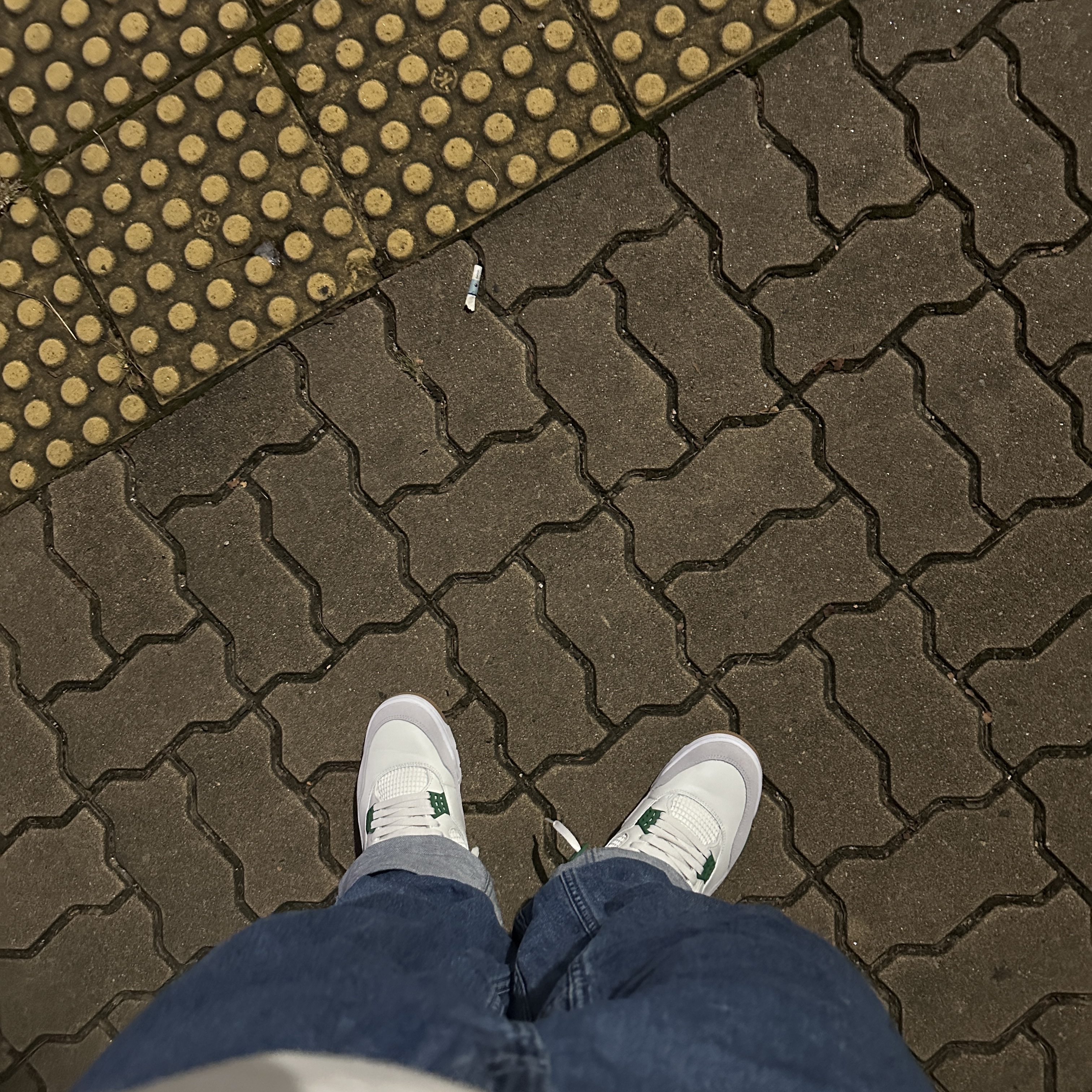 Jordan 4 x Nike SB Retro SP Pine Green 착용 스타일