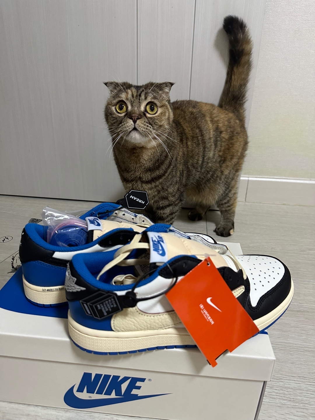 Jordan 1 x Travis Scott x Fragment Retro Low OG SP Military Blue 착용 스타일 - 1