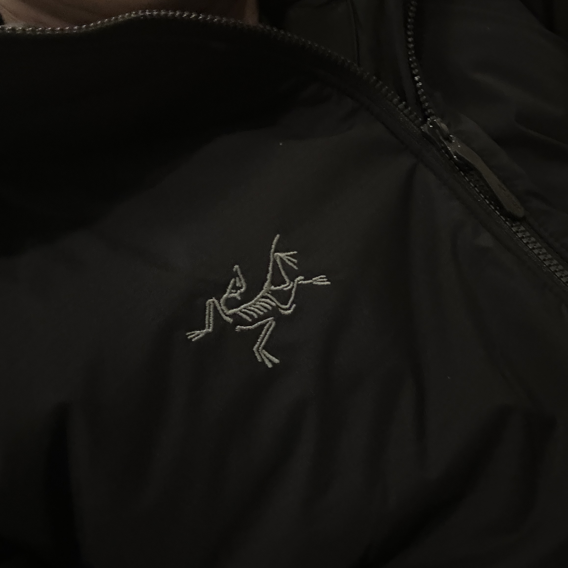 Arc'teryx Atom Heavyweight Hoody Black 착용 스타일