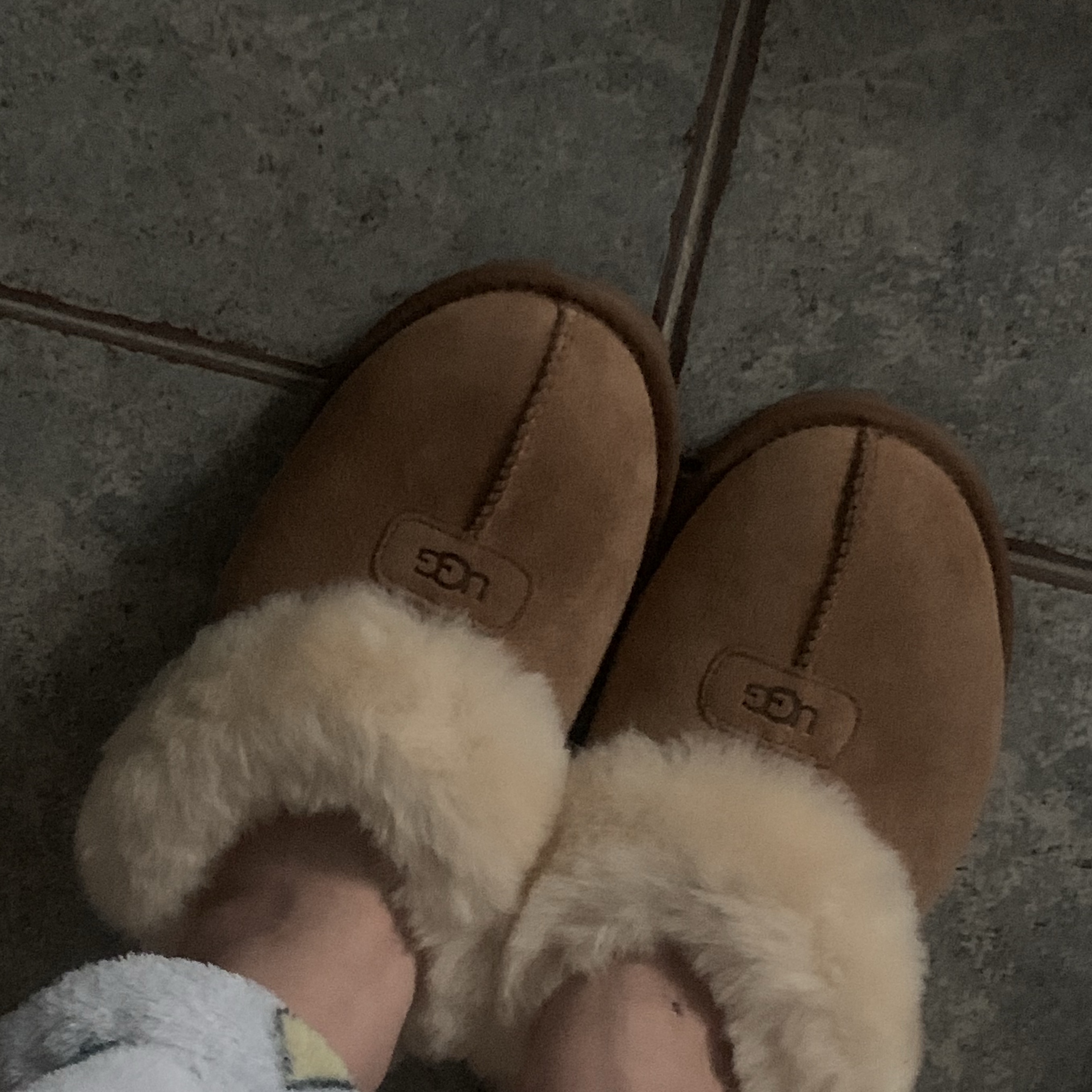 (W) UGG Coquette Slipper Chestnut 착용 스타일