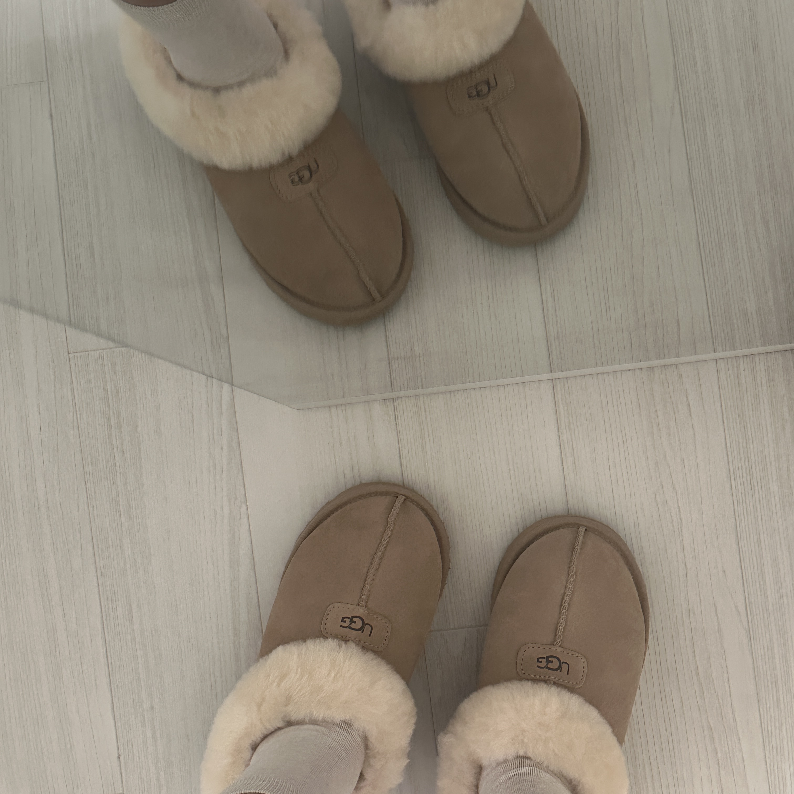 (W) UGG Tazzette Slipper Sand 착용 스타일 - 1