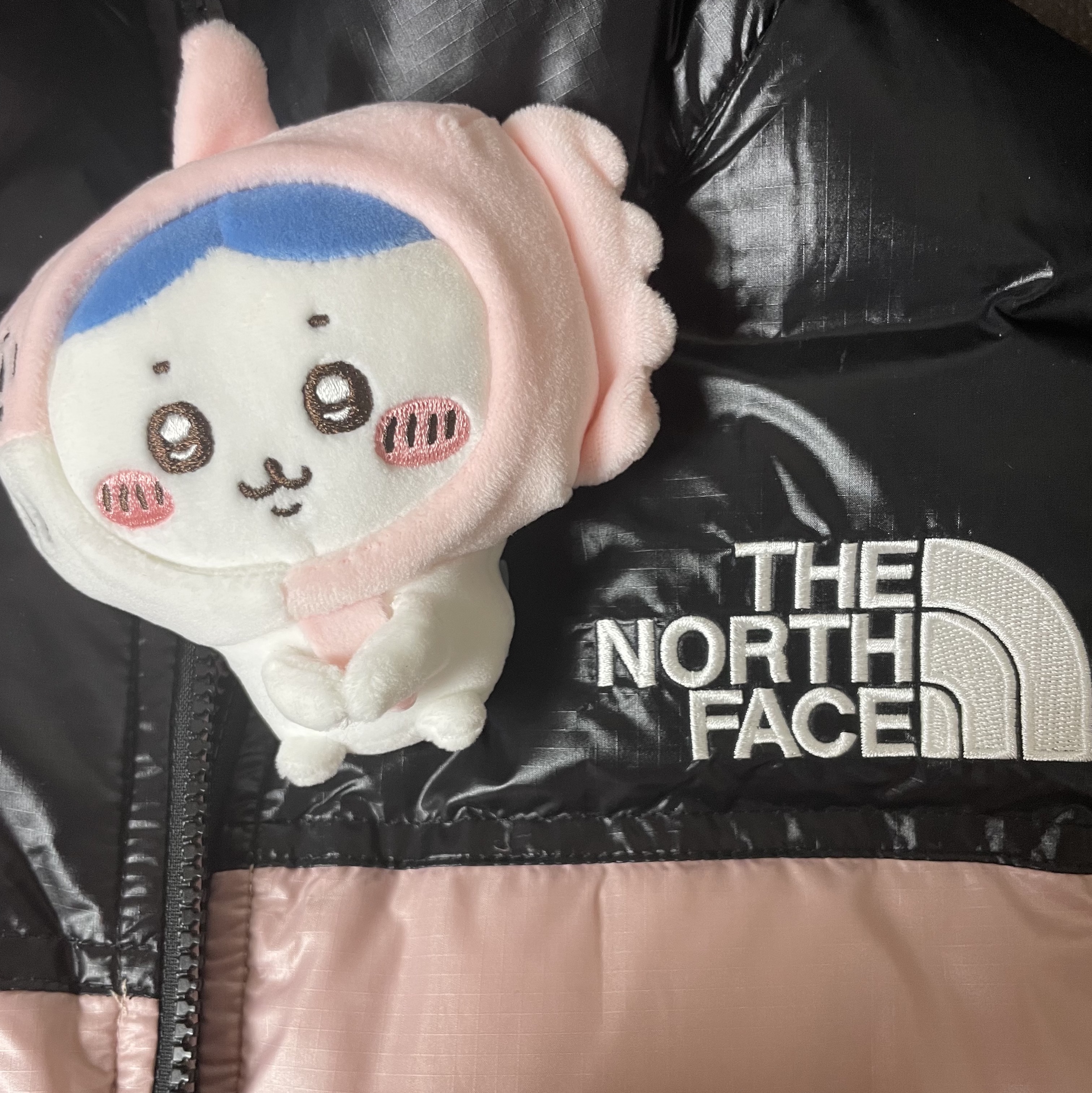 (W) The North Face Nuptse Short Jacket Pastel Pink 착용 스타일