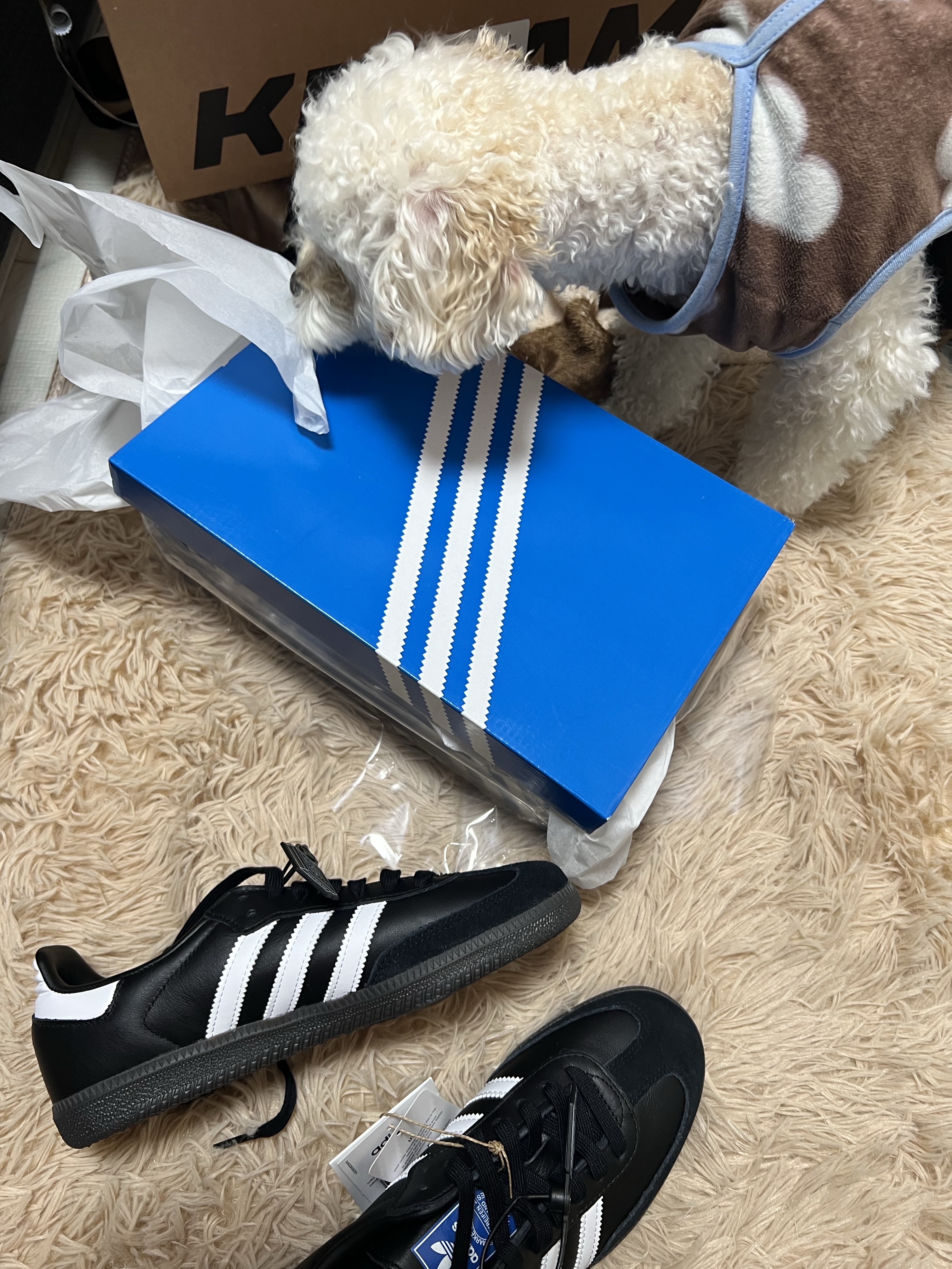 Adidas Samba OG Black White Gum 착용 스타일