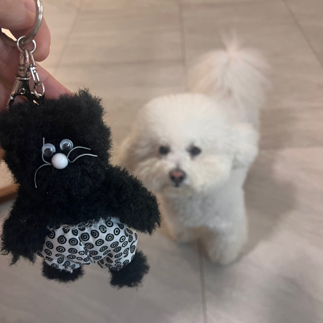 Monamhee x 10 Corso Como Bianco Keyring Black 착용 스타일