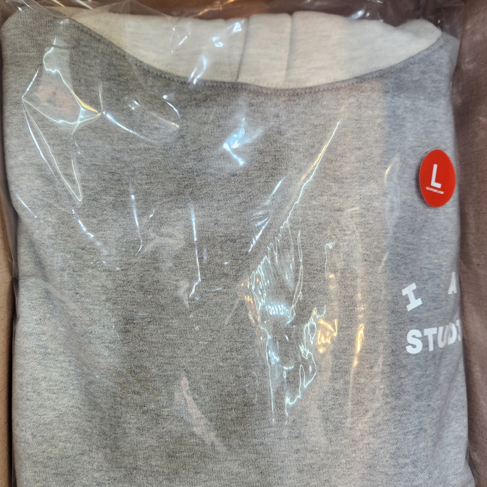 IAB Studio Hoodie Dual Gray 착용 스타일