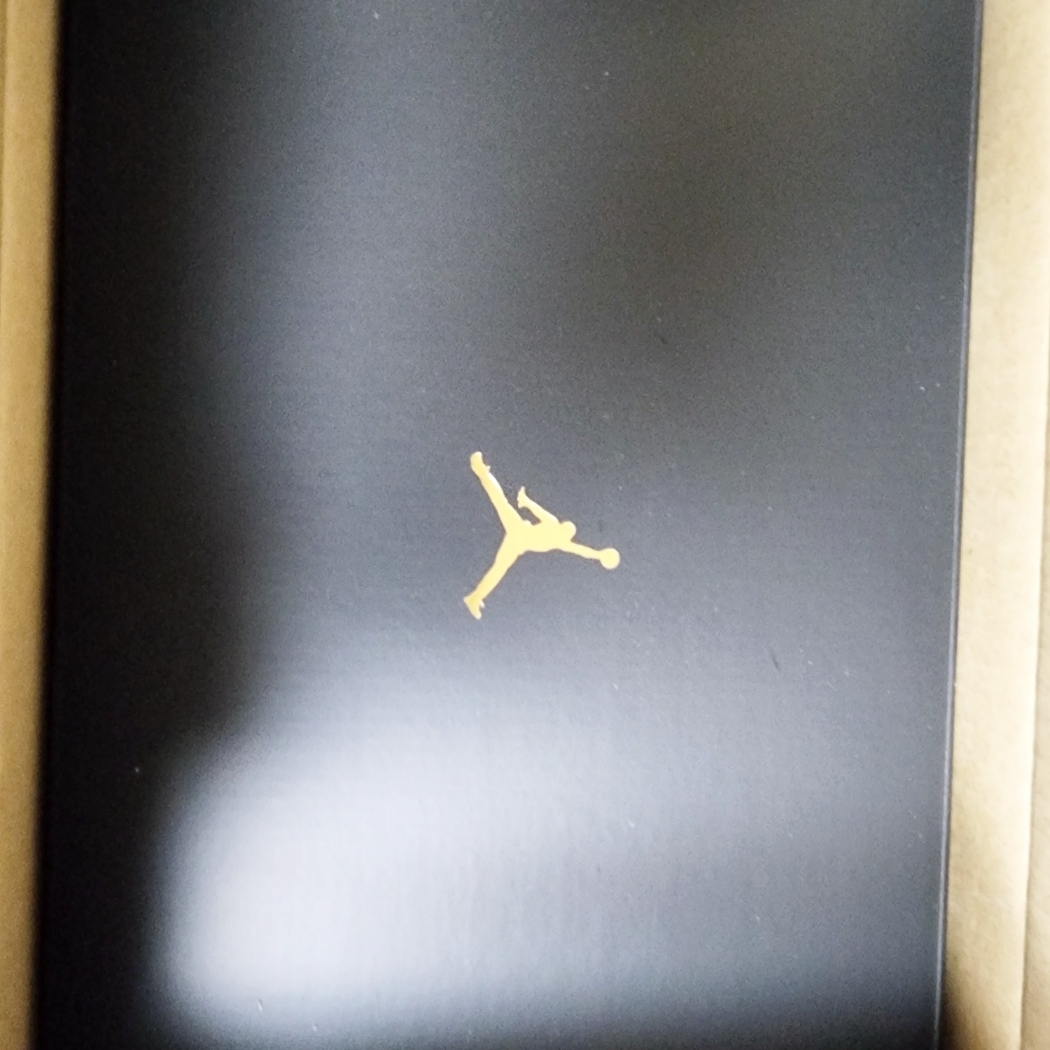 Jordan 11 Retro Gratitude 착용 스타일 - 2