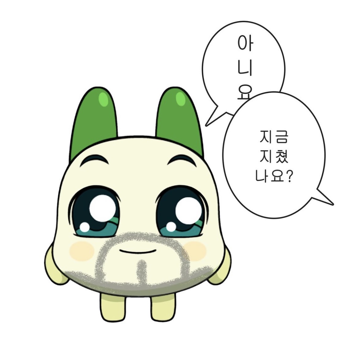 하얀마음백구님의 스타일