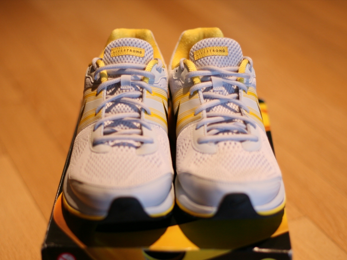 (W) Nike Air Max 95 Dynamic Flywire LAF Livestrong 착용 스타일 - 6