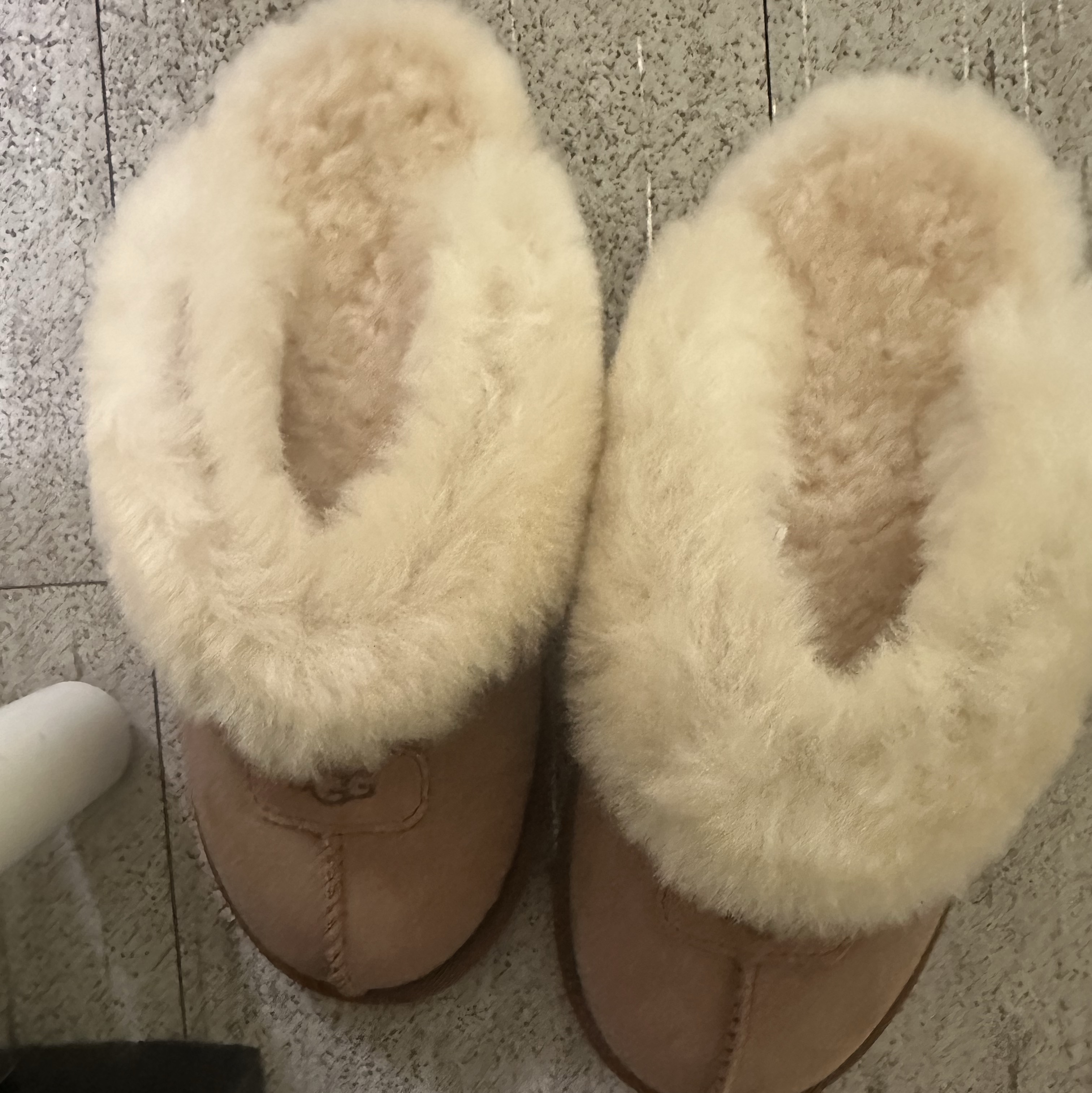 (W) UGG Coquette Slipper Chestnut 착용 스타일