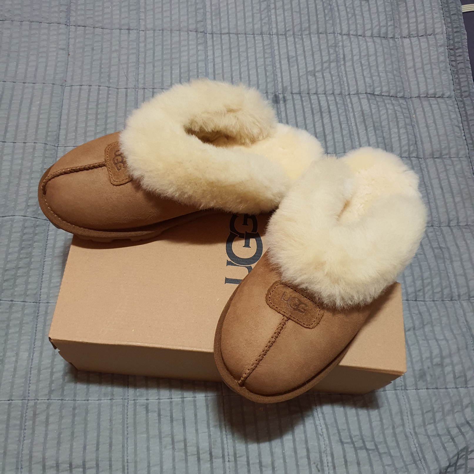 (W) UGG Coquette Slipper Chestnut 착용 스타일 - 2