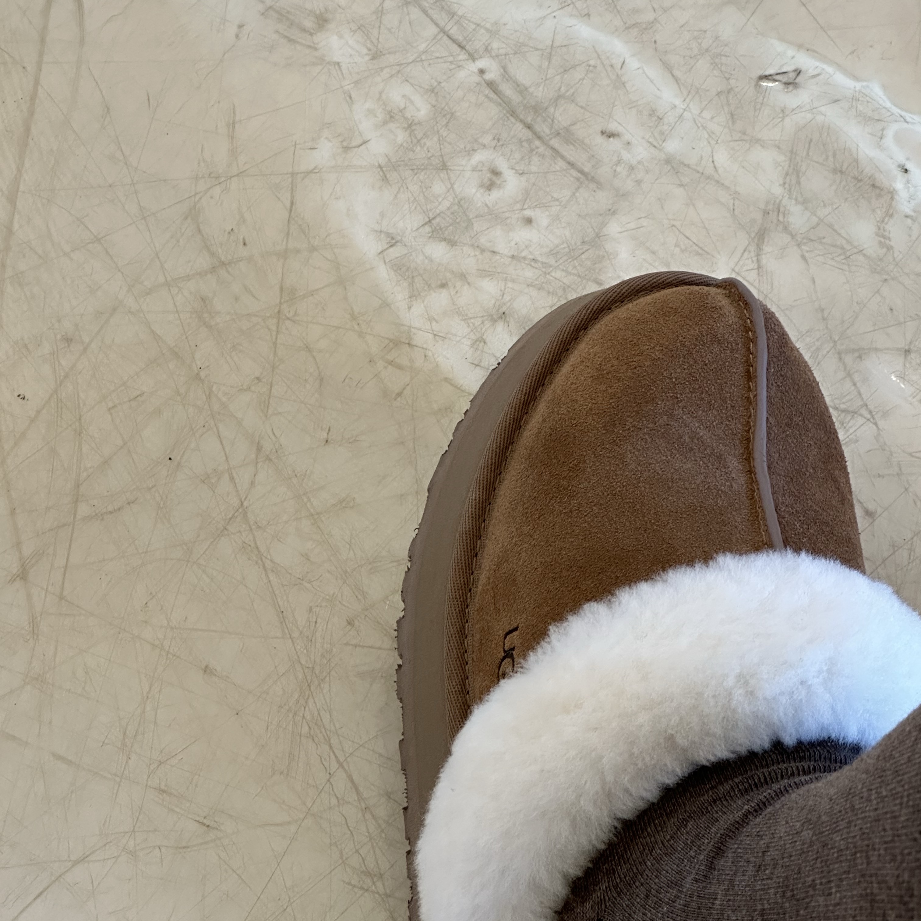 (W) UGG Disquette Slipper Chestnut 착용 스타일