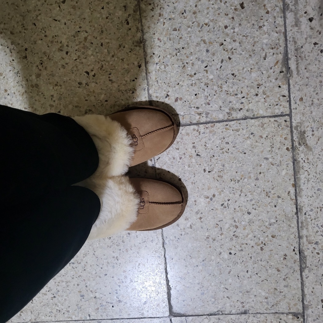 (W) UGG Coquette Slipper Chestnut 착용 스타일
