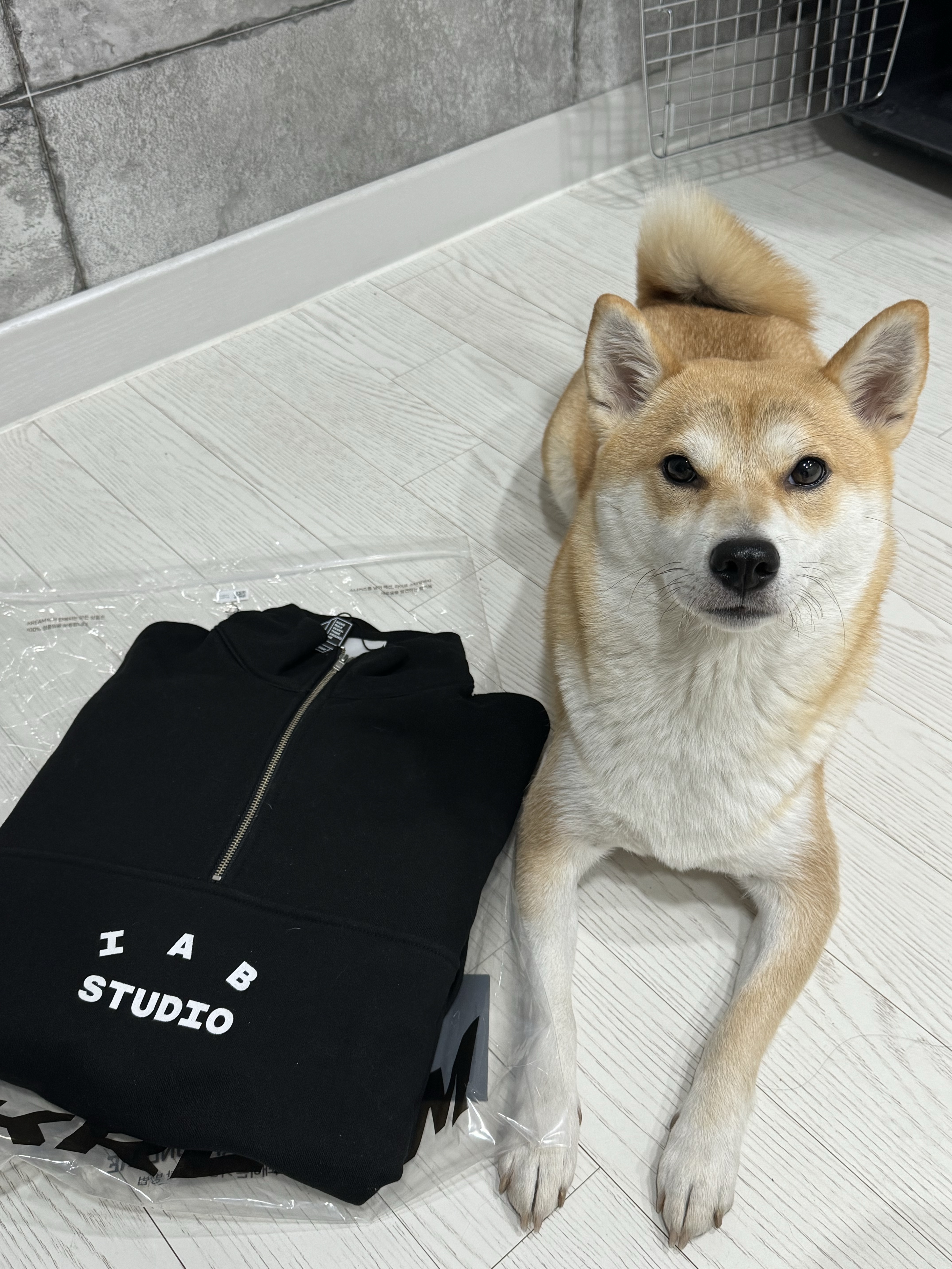 IAB Studio Half Zip-Up Black White 착용 스타일 - 1