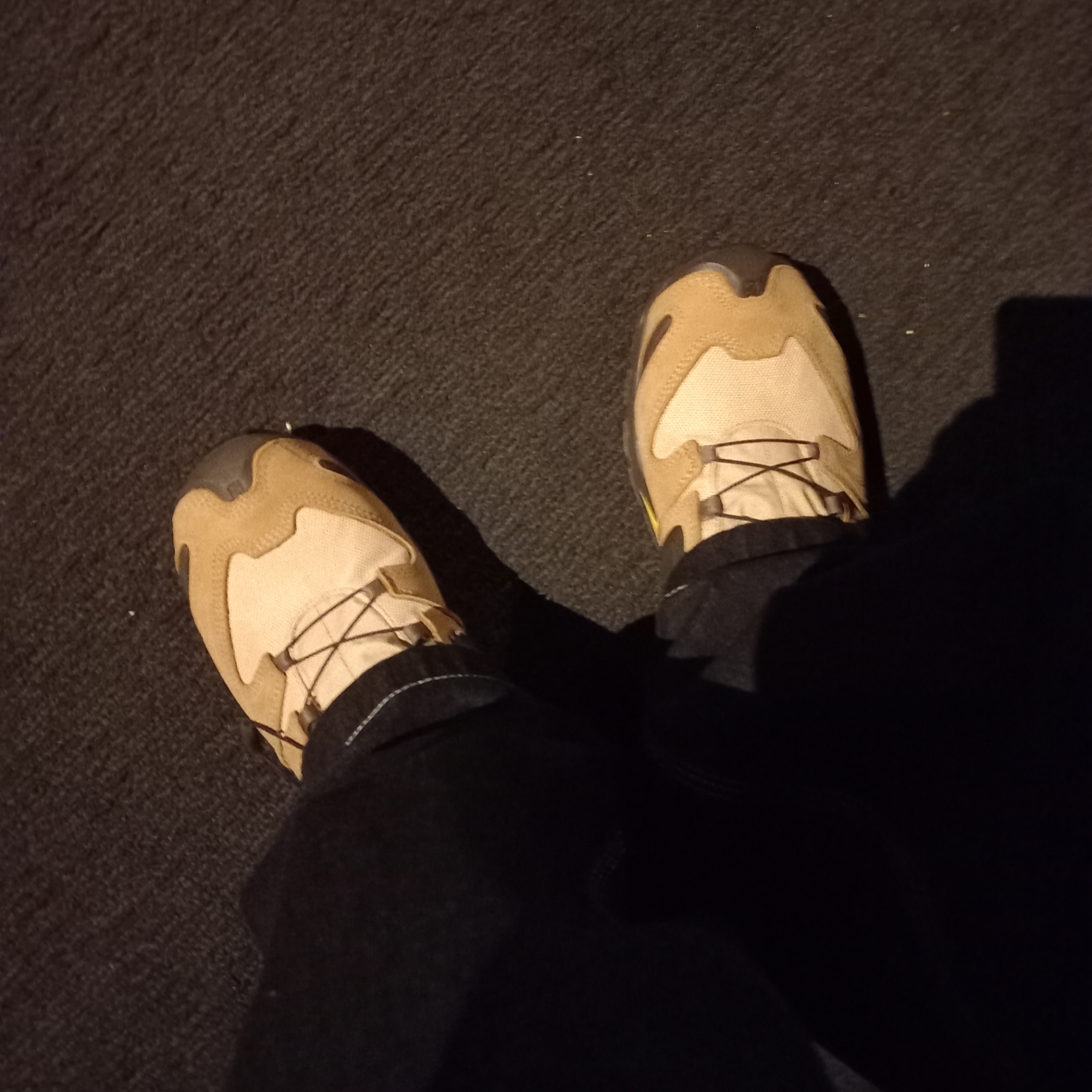 Salomon x Better Gift Shop XA Pro 3D Mid Gore-Tex Safari 착용 스타일