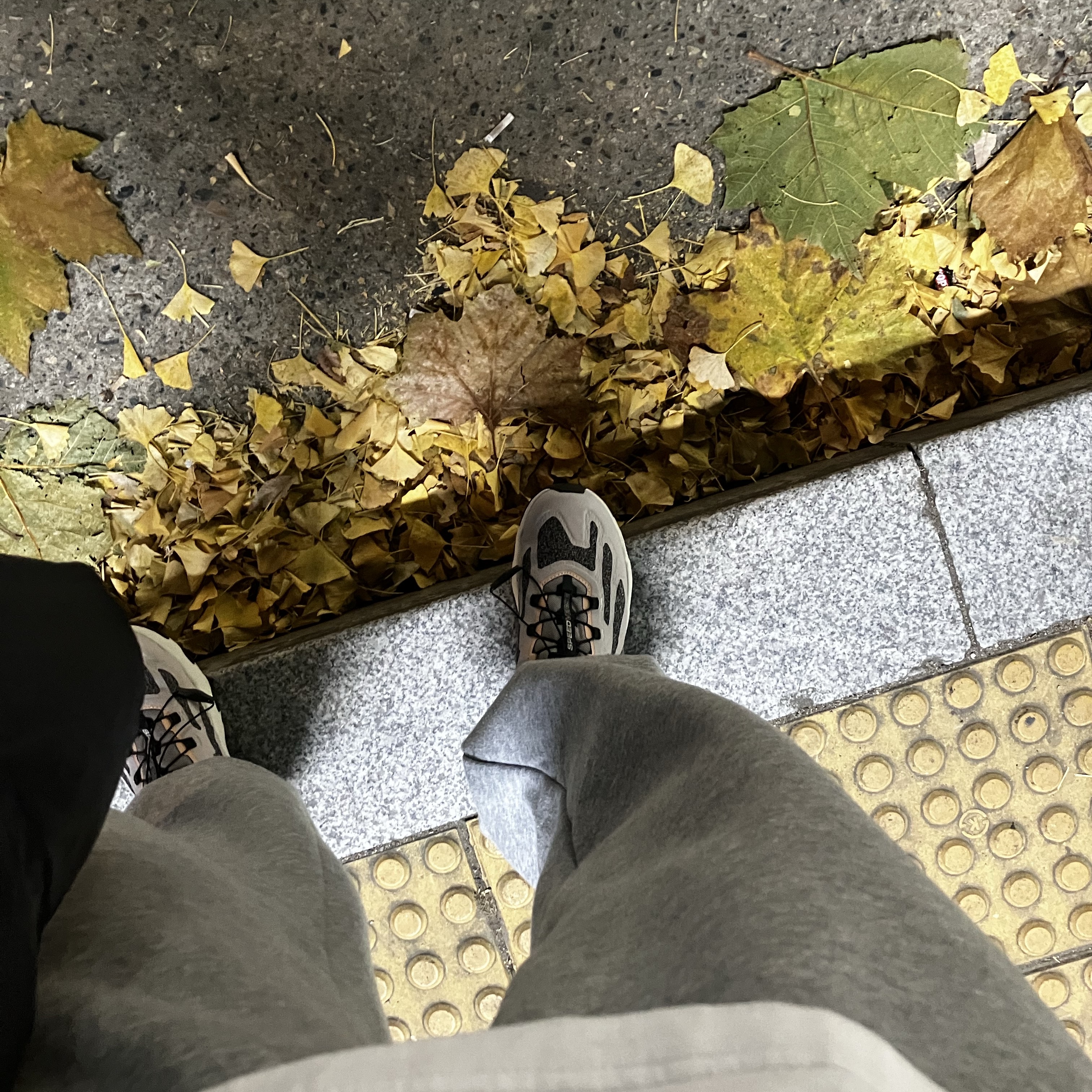 Salomon Speedverse PRG Ashes of Roses 착용 스타일 - 2