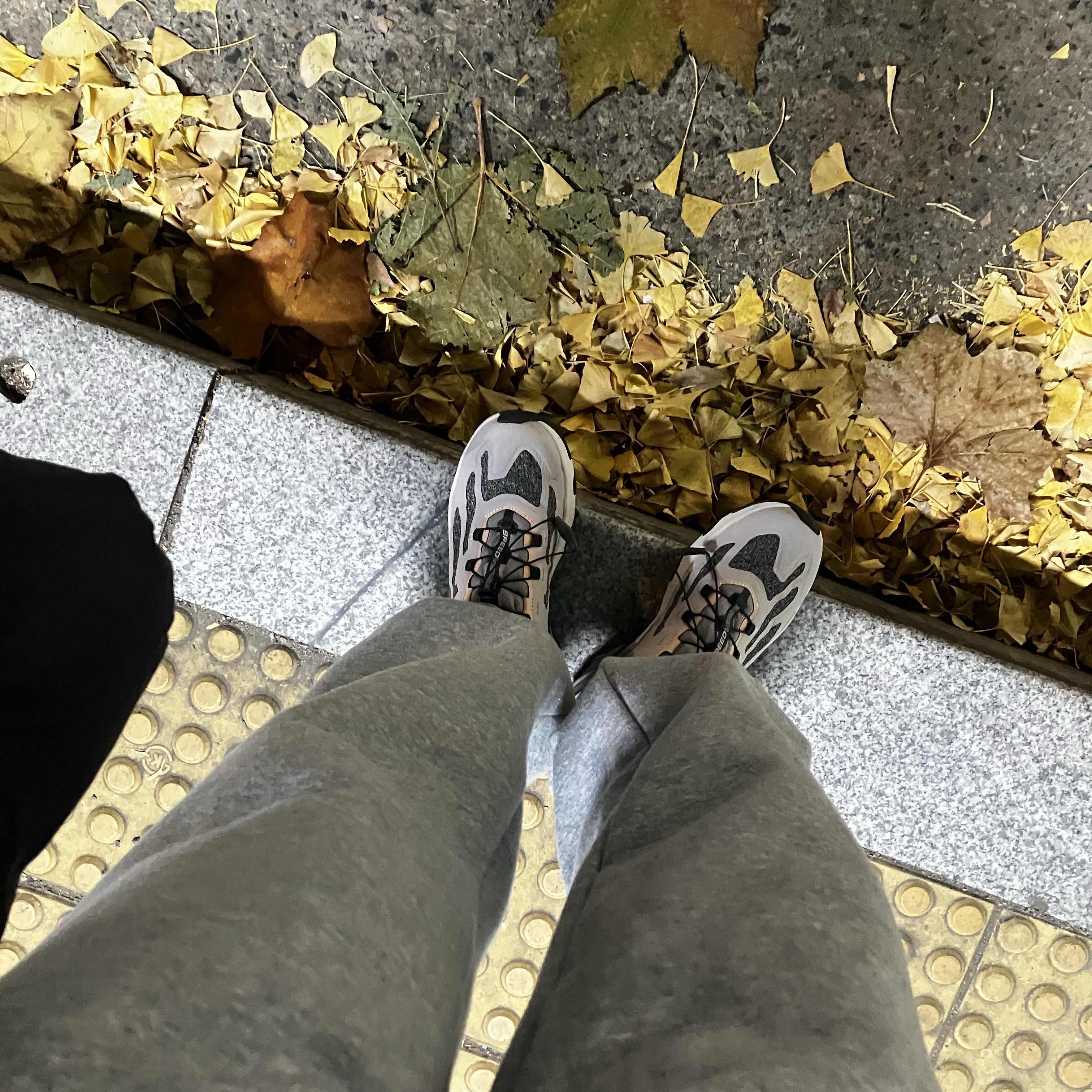 Salomon Speedverse PRG Ashes of Roses 착용 스타일 - 1