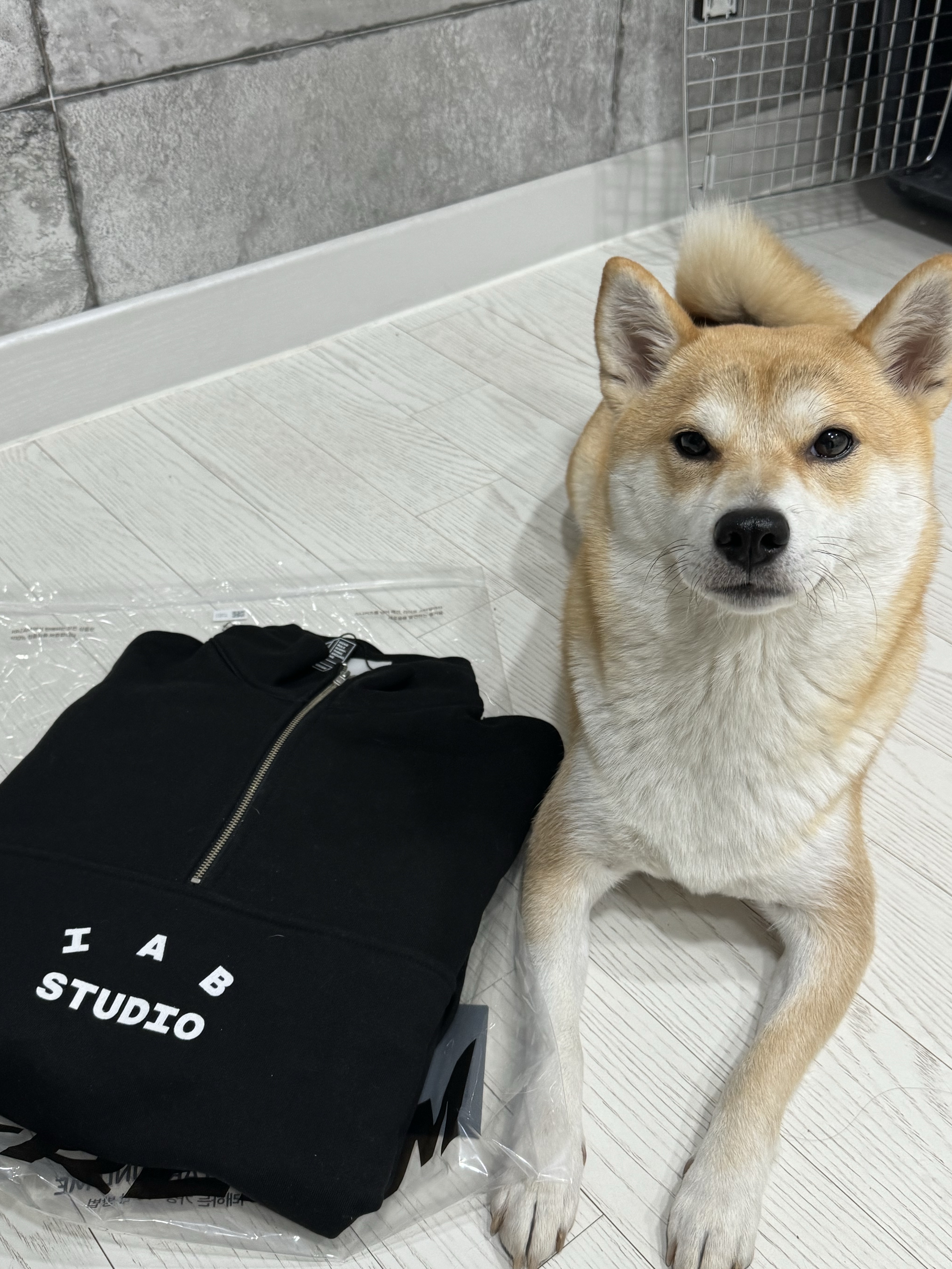 IAB Studio Half Zip-Up Black White 착용 스타일 - 2