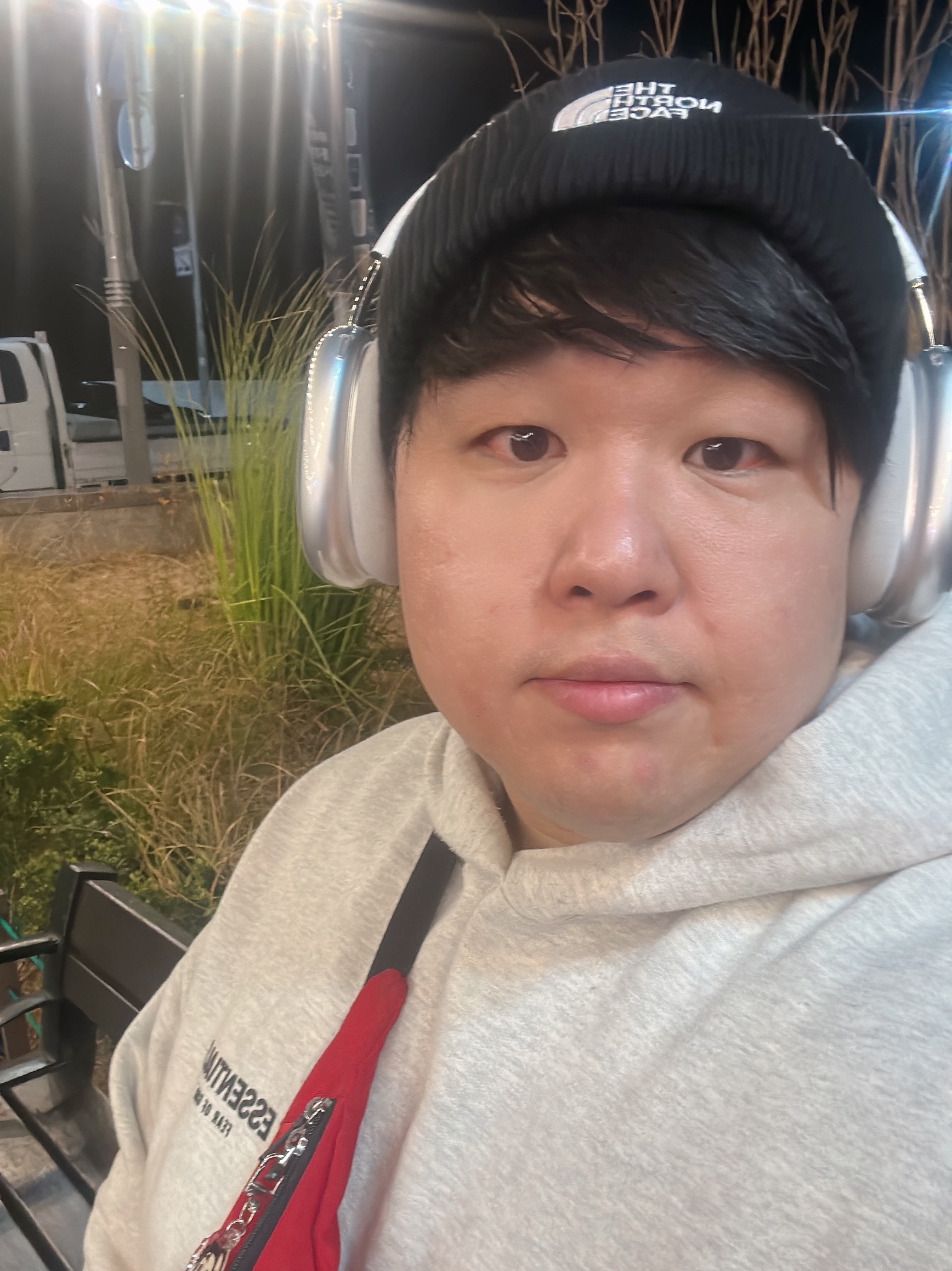 Apple AirPods Max Lightning Silver (Korean Ver.), Essentials The Core Collection Hoodie Light Oatmeal 착용 스타일