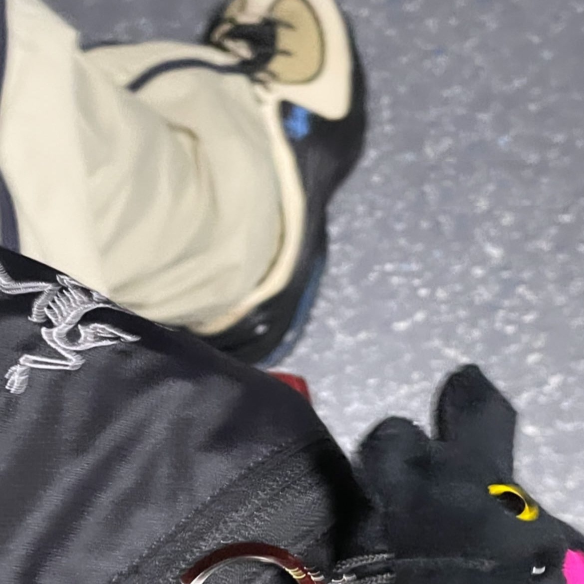 Nike x Stussy Air Penny II Rattan and Limestone, Arc'teryx Heliad 10 Backpack Black 착용 스타일