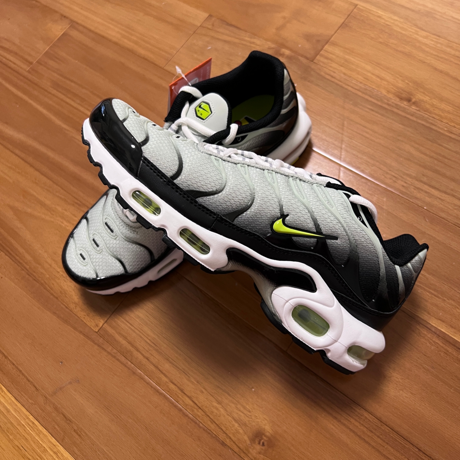 Nike Air Max Plus Black Bright Cactus 착용 스타일
